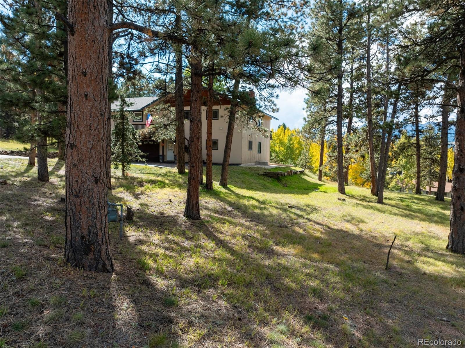 MLS Image #45 for 1051  forest hill road,woodland park, Colorado