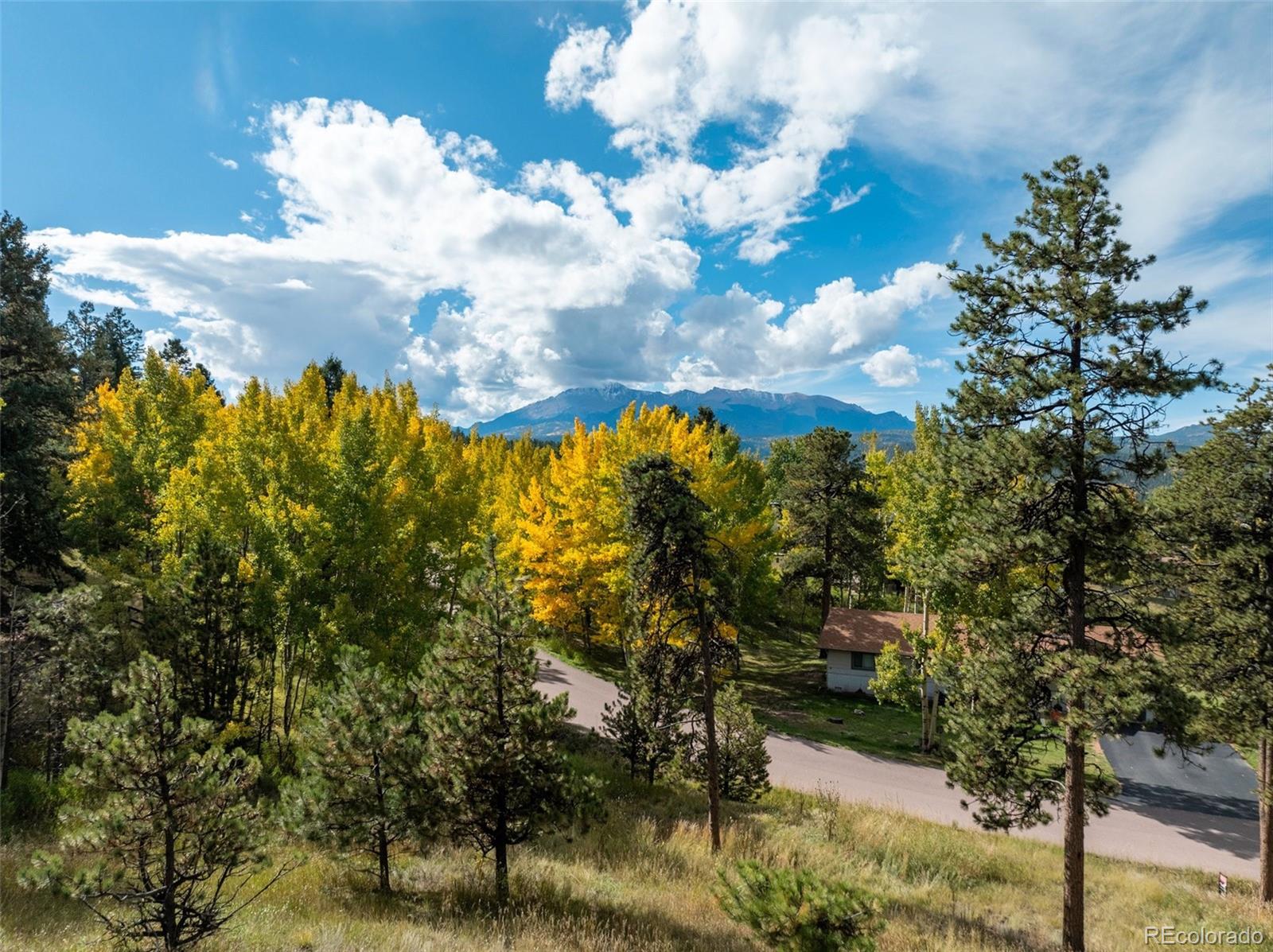 MLS Image #48 for 1051  forest hill road,woodland park, Colorado