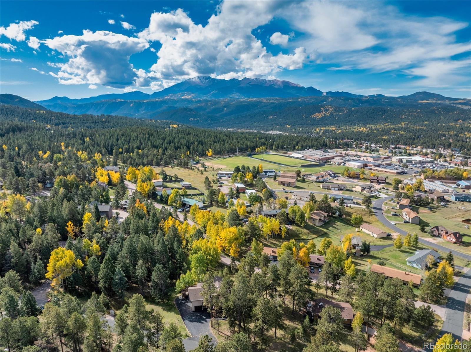 MLS Image #6 for 1051  forest hill road,woodland park, Colorado