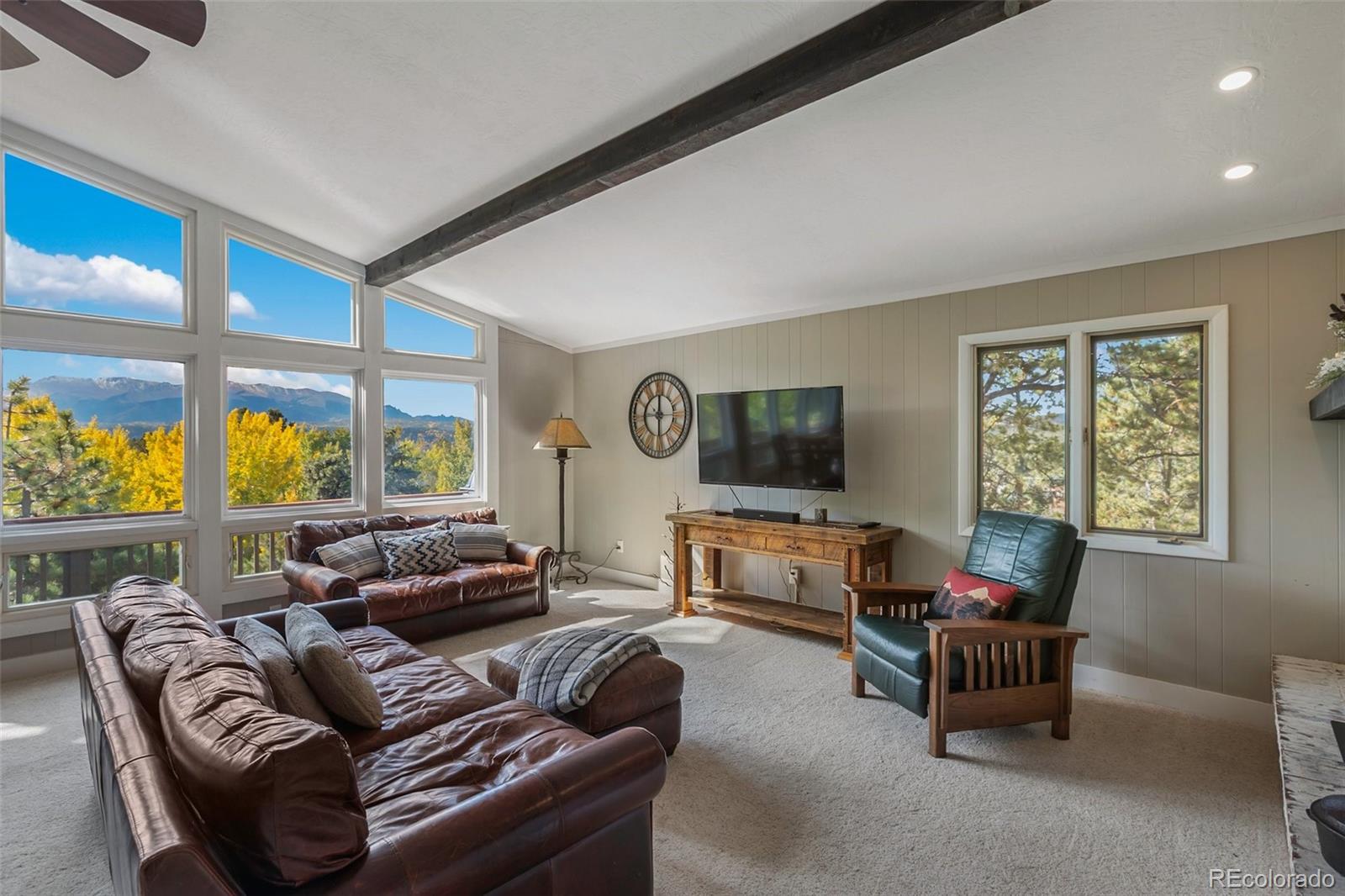 MLS Image #7 for 1051  forest hill road,woodland park, Colorado