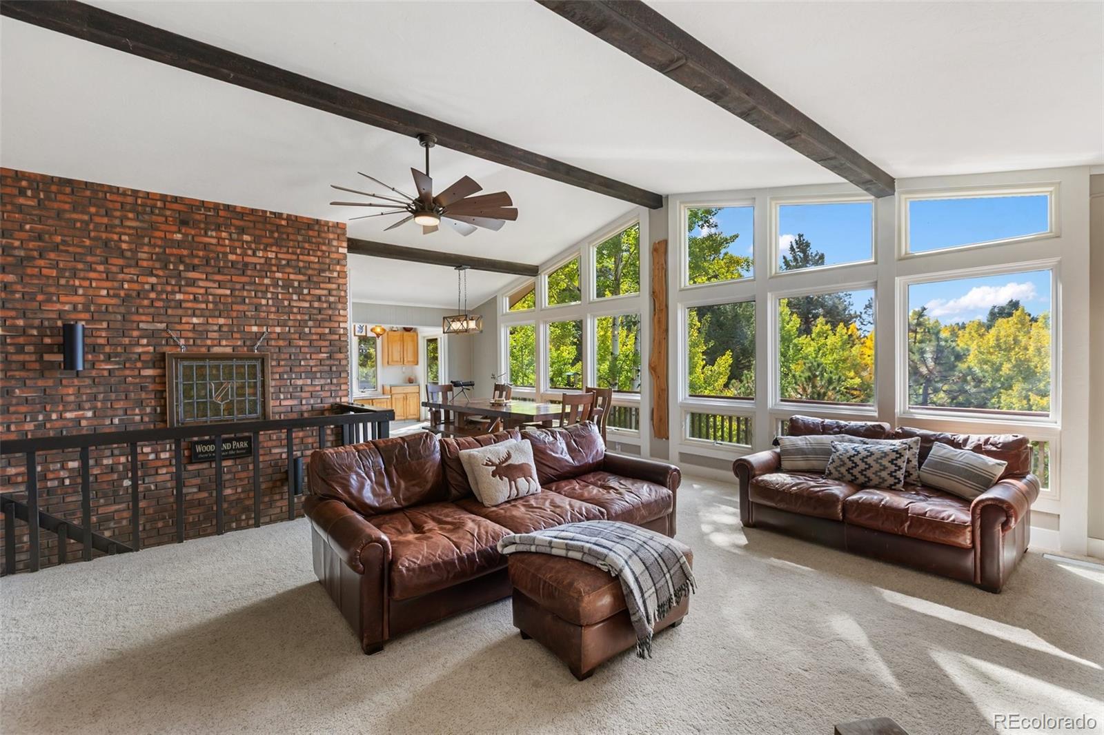 MLS Image #9 for 1051  forest hill road,woodland park, Colorado