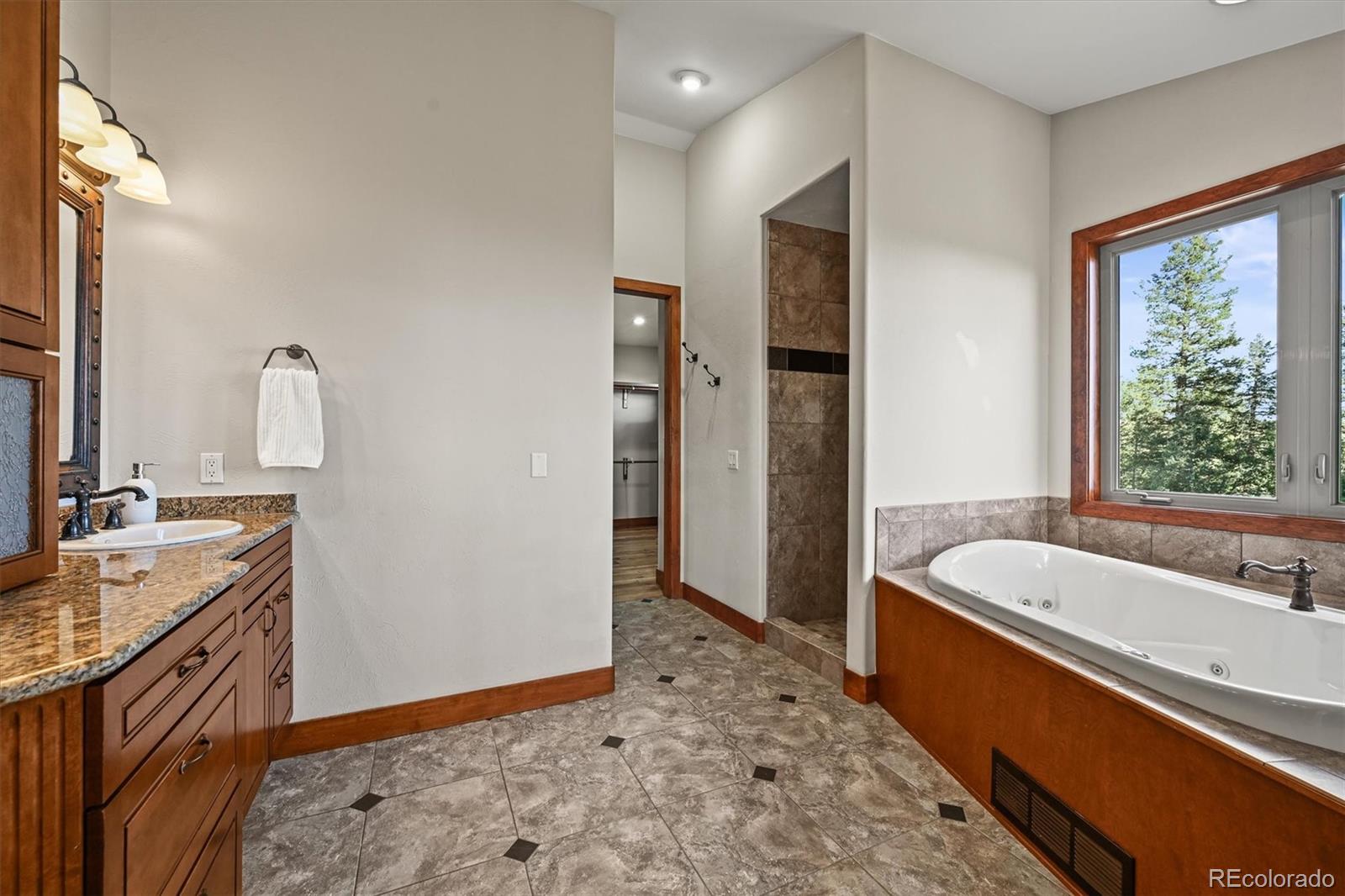 MLS Image #17 for 9646  wallow court,conifer, Colorado