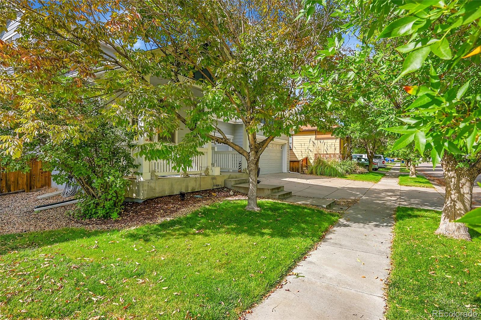 MLS Image #4 for 12217  idalia street,commerce city, Colorado