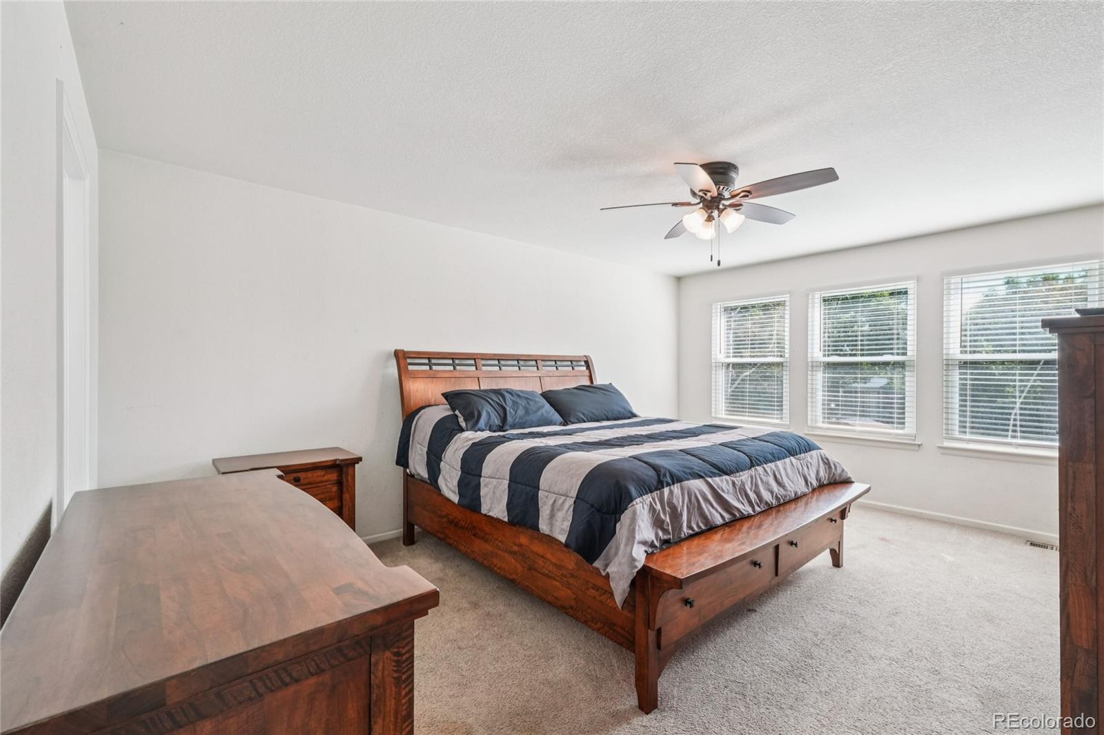 MLS Image #13 for 9230  cook street,thornton, Colorado