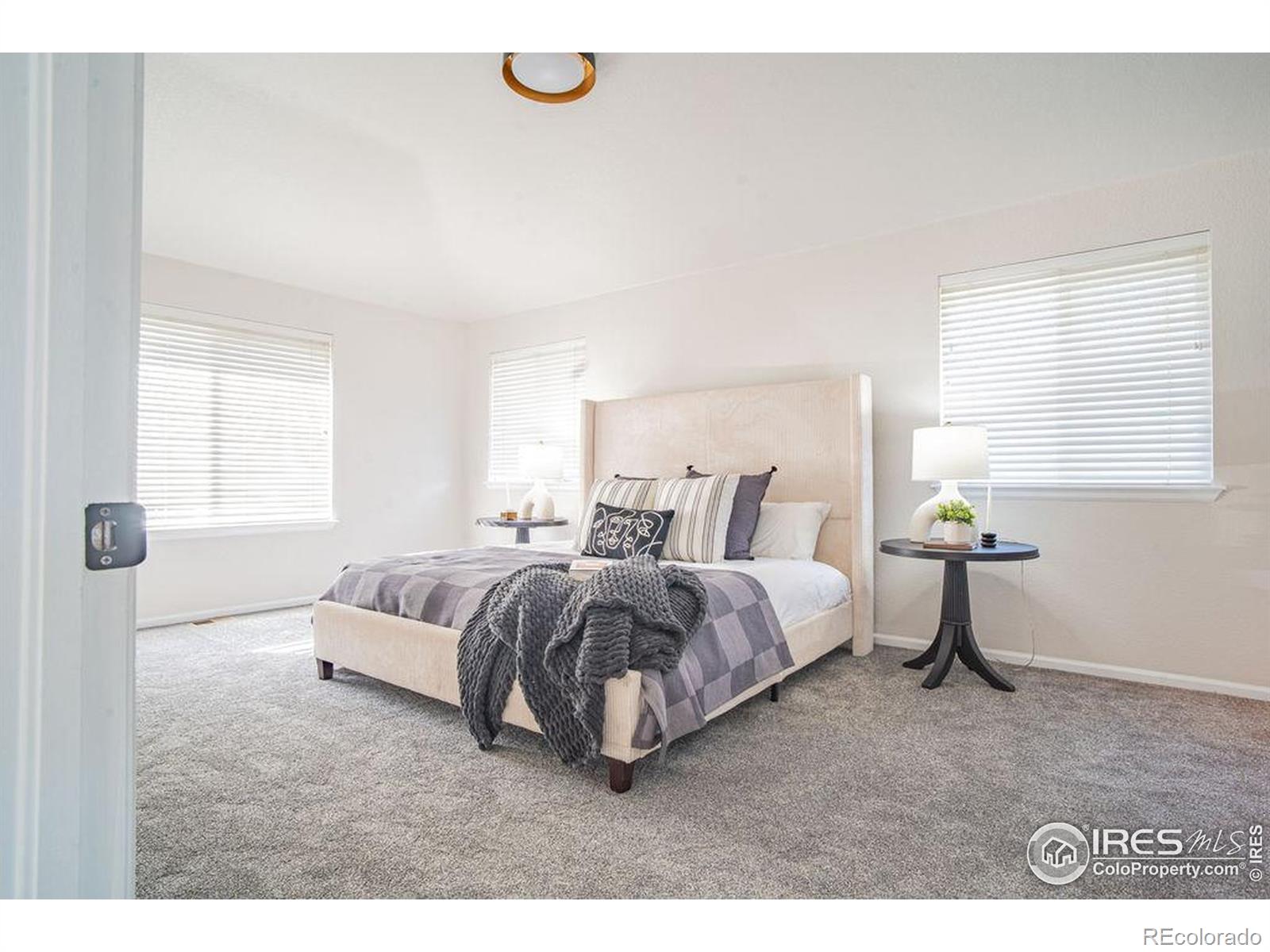 MLS Image #18 for 6103  tilden street,fort collins, Colorado