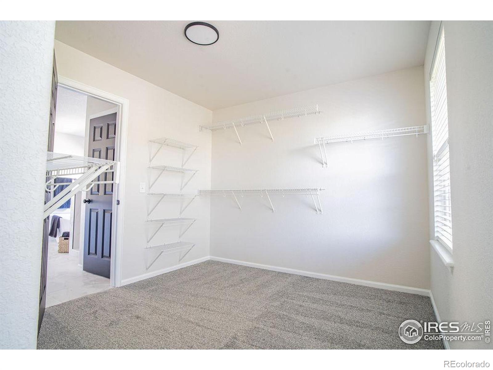 MLS Image #24 for 6103  tilden street,fort collins, Colorado