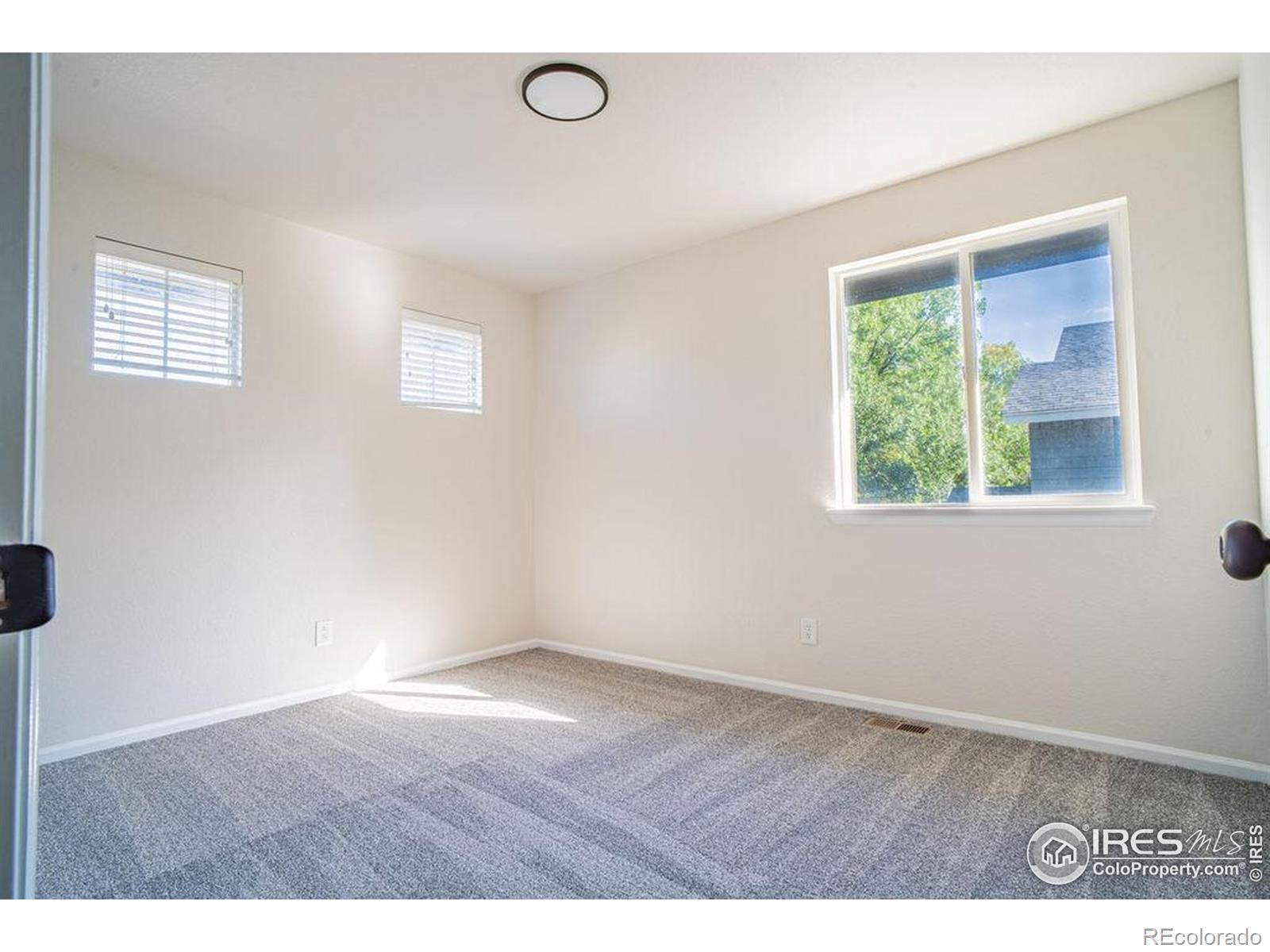 MLS Image #28 for 6103  tilden street,fort collins, Colorado