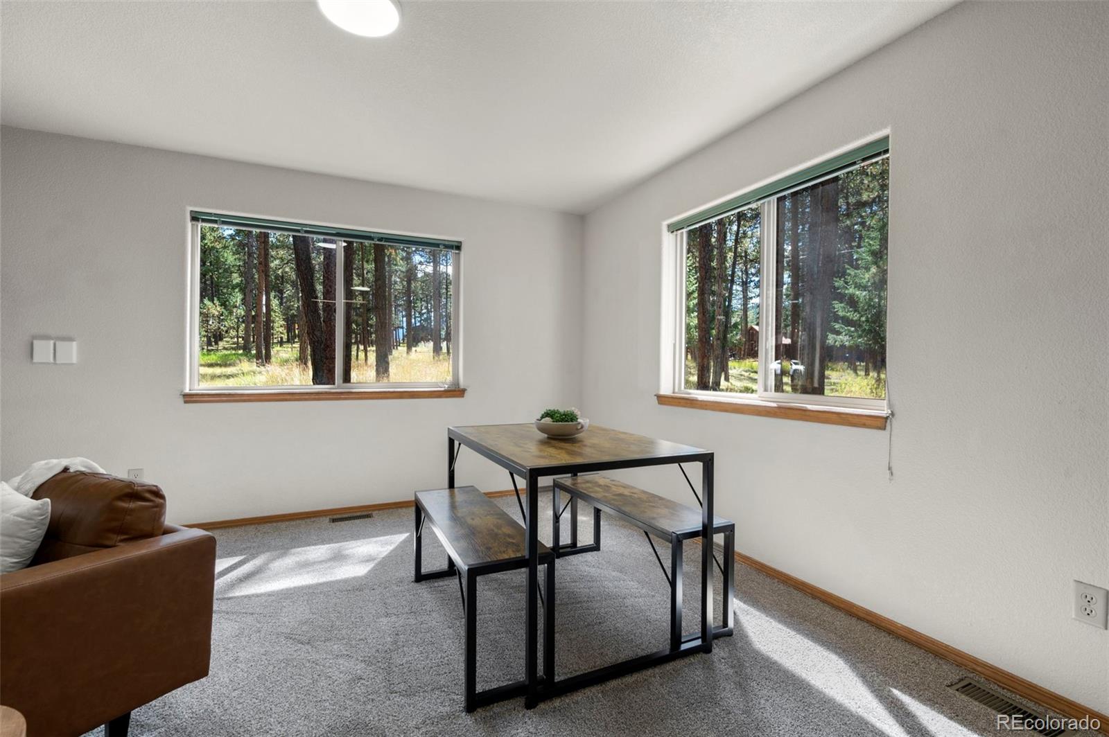 MLS Image #10 for 316 n walnut street,woodland park, Colorado