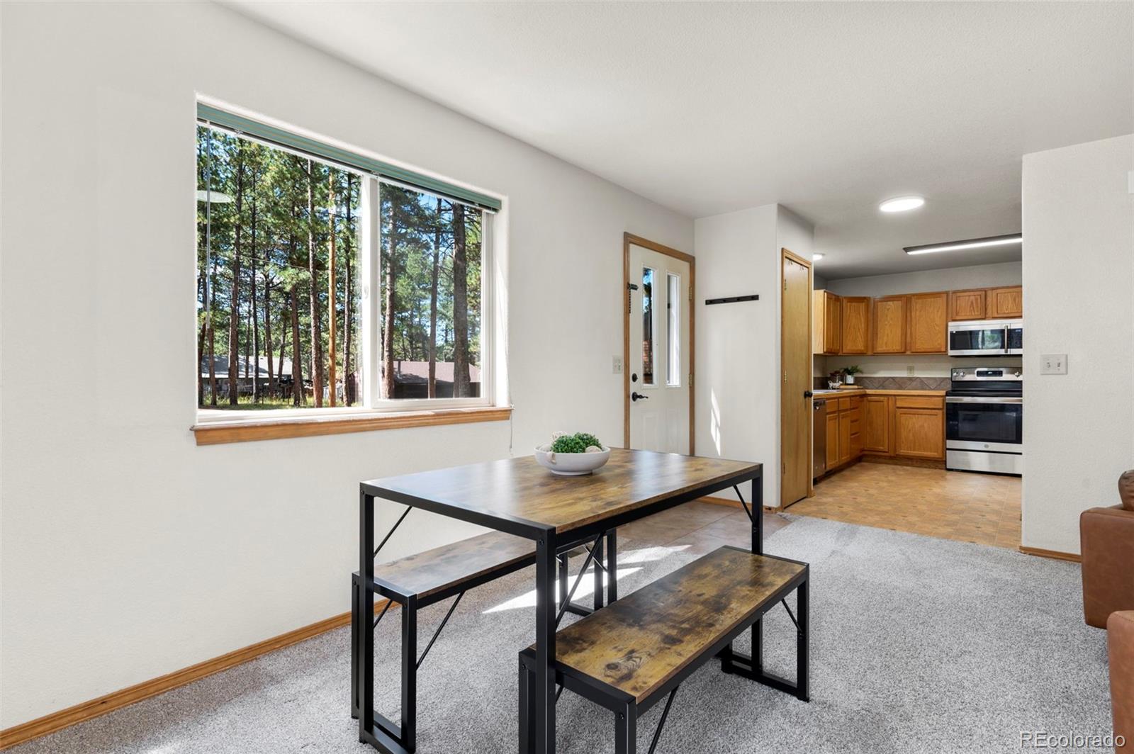 MLS Image #11 for 316 n walnut street,woodland park, Colorado
