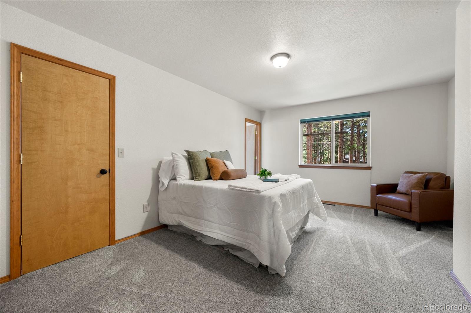 MLS Image #18 for 316 n walnut street,woodland park, Colorado