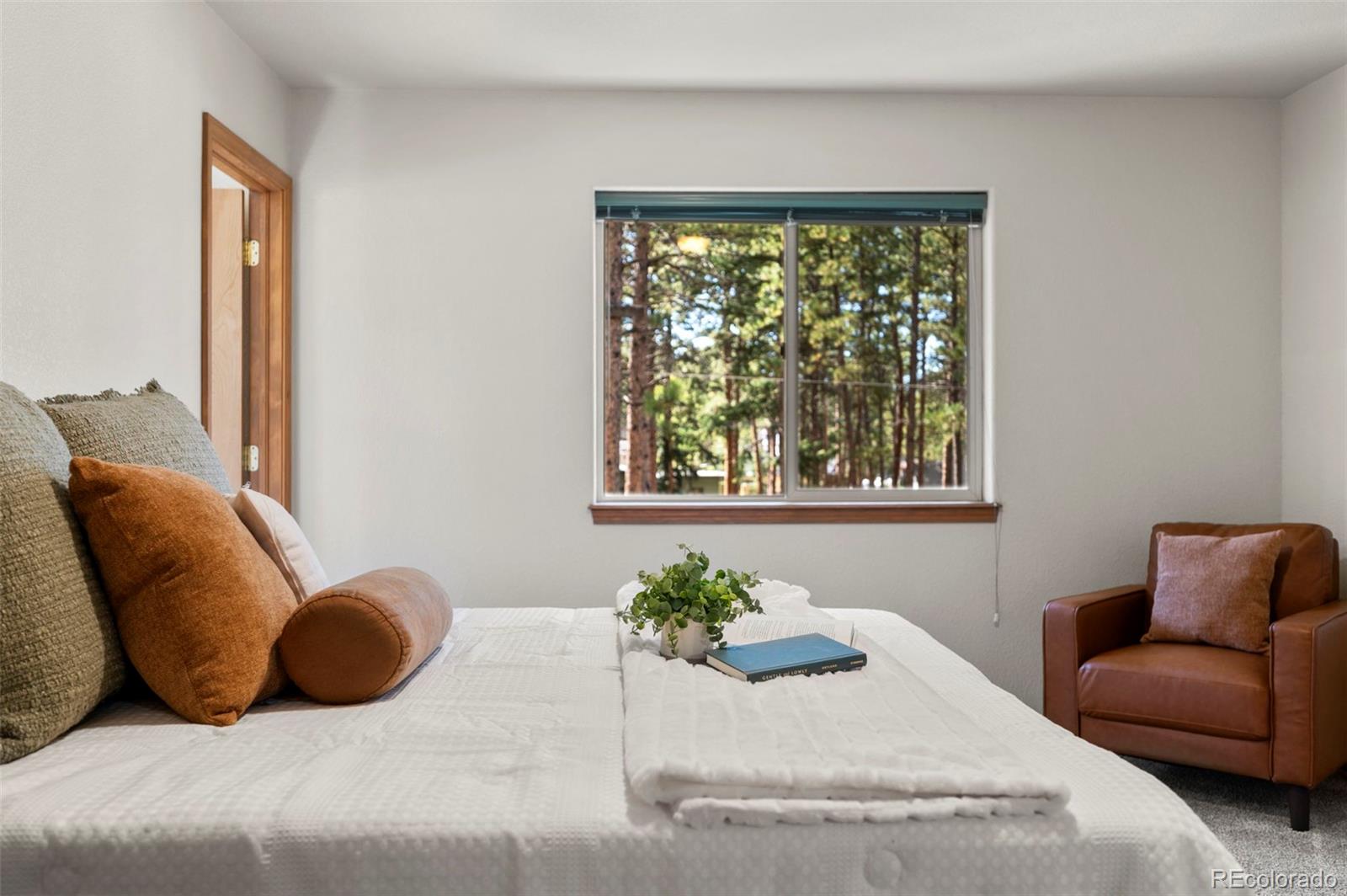 MLS Image #19 for 316 n walnut street,woodland park, Colorado