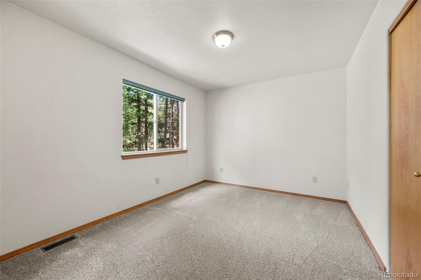 MLS Image #23 for 316 n walnut street,woodland park, Colorado