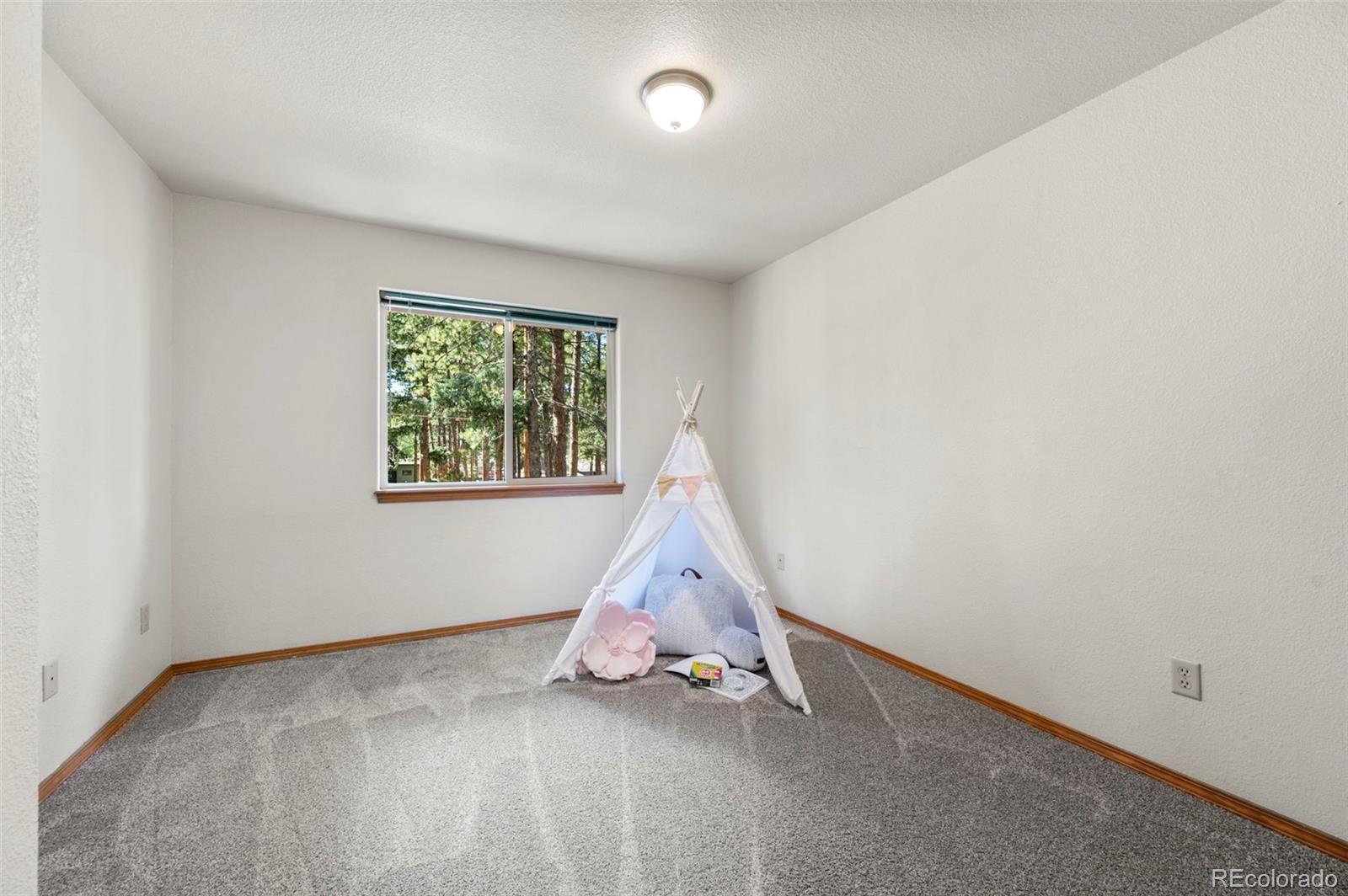 MLS Image #25 for 316 n walnut street,woodland park, Colorado