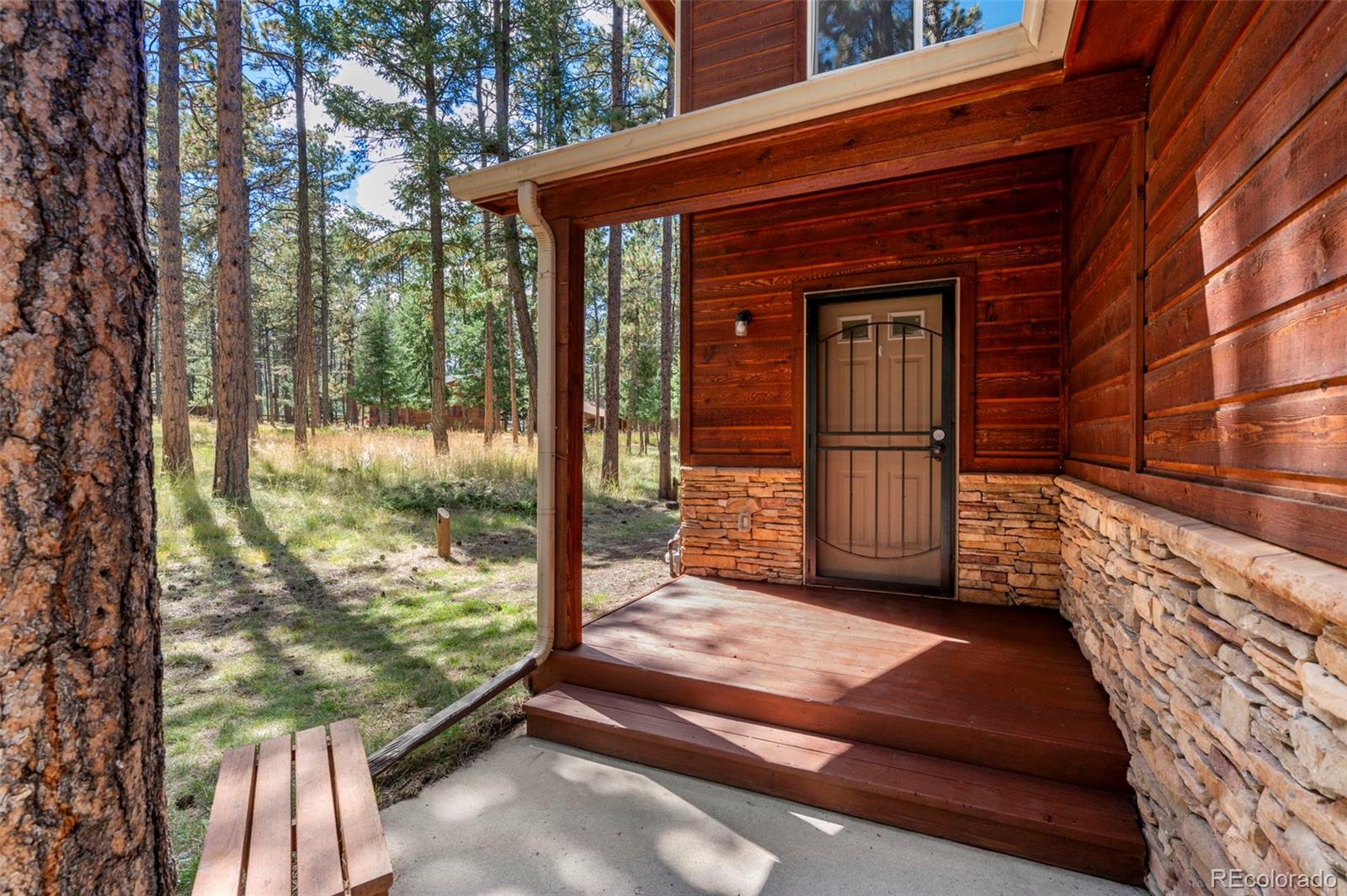 MLS Image #4 for 316 n walnut street,woodland park, Colorado