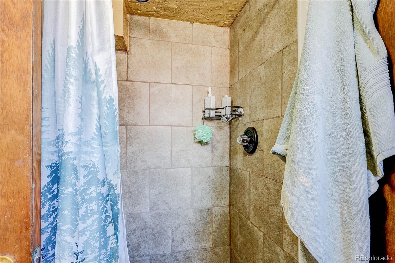MLS Image #12 for 3015 n milwaukee street,denver, Colorado