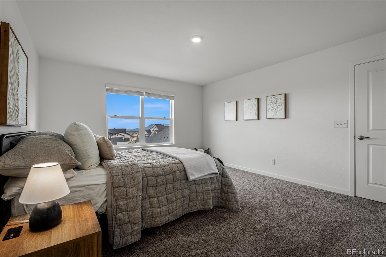 MLS Image #30 for 5373  janga drive,colorado springs, Colorado