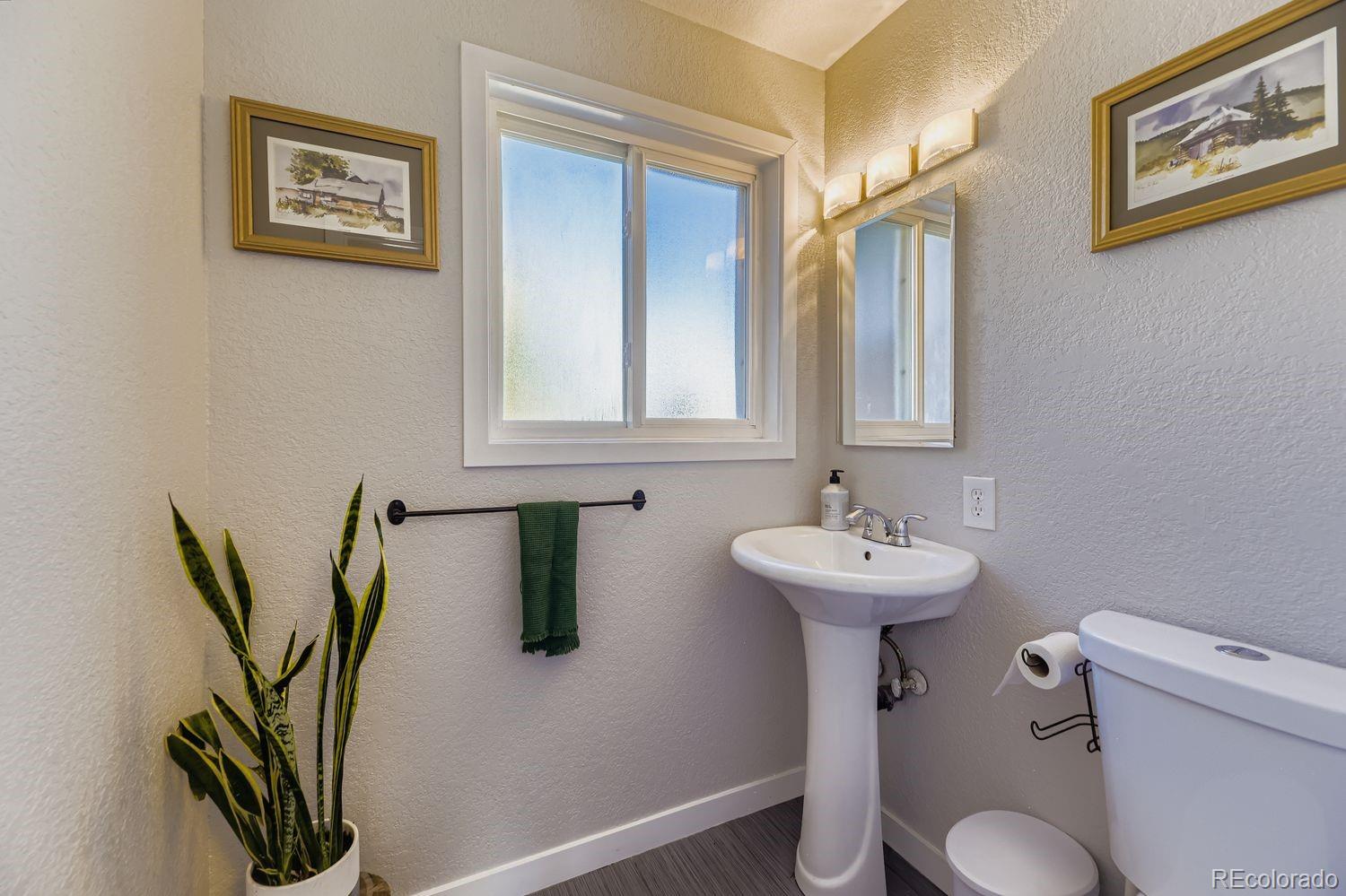 MLS Image #13 for 7161 s franklin street,centennial, Colorado