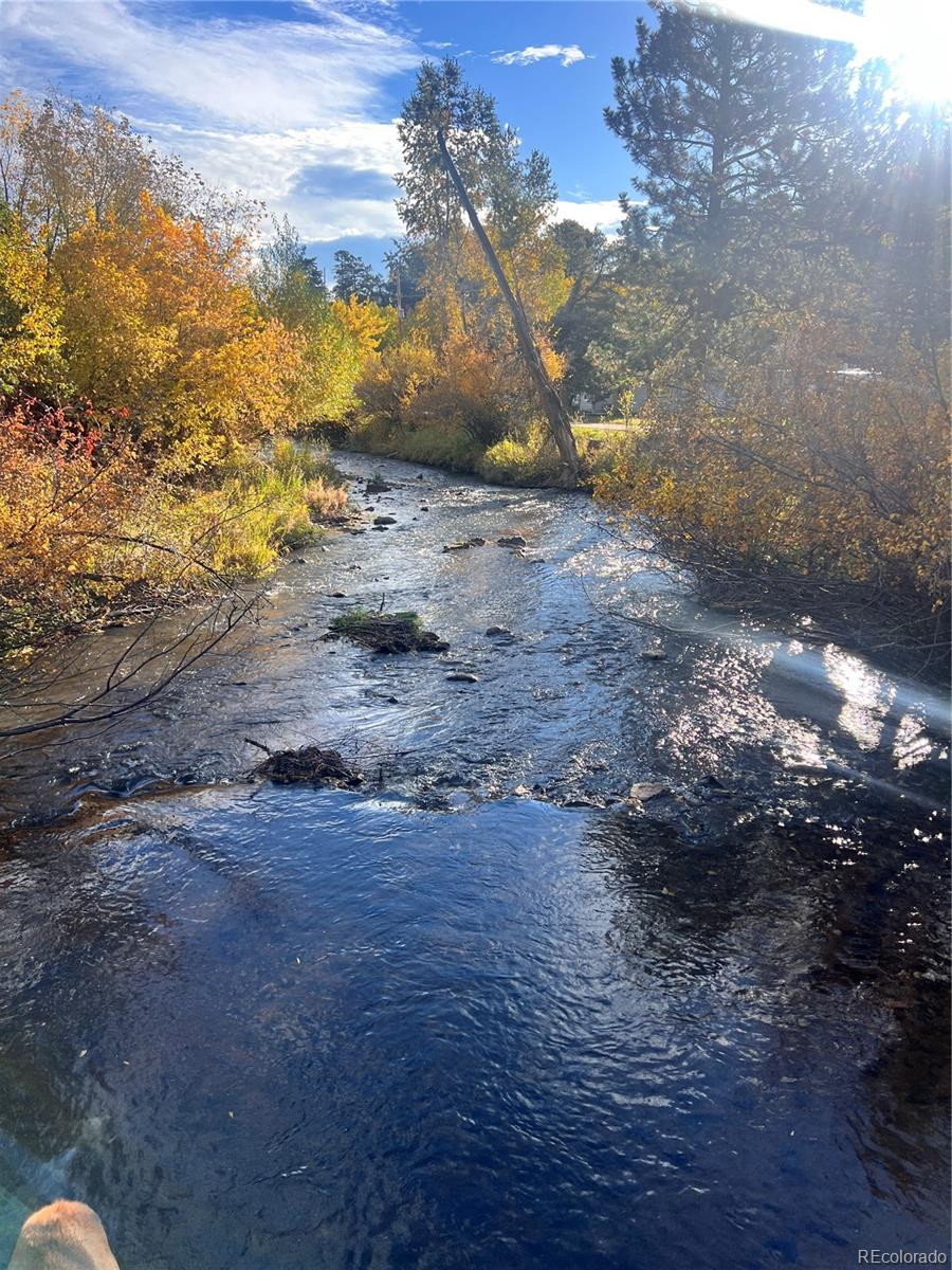MLS Image #48 for 3425  burnham drive,kittredge, Colorado