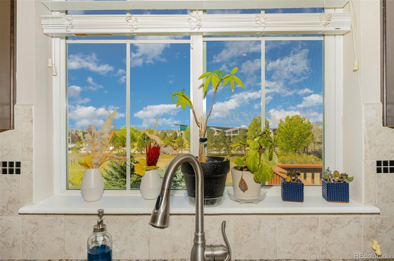 MLS Image #9 for 24277 e davies place,aurora, Colorado