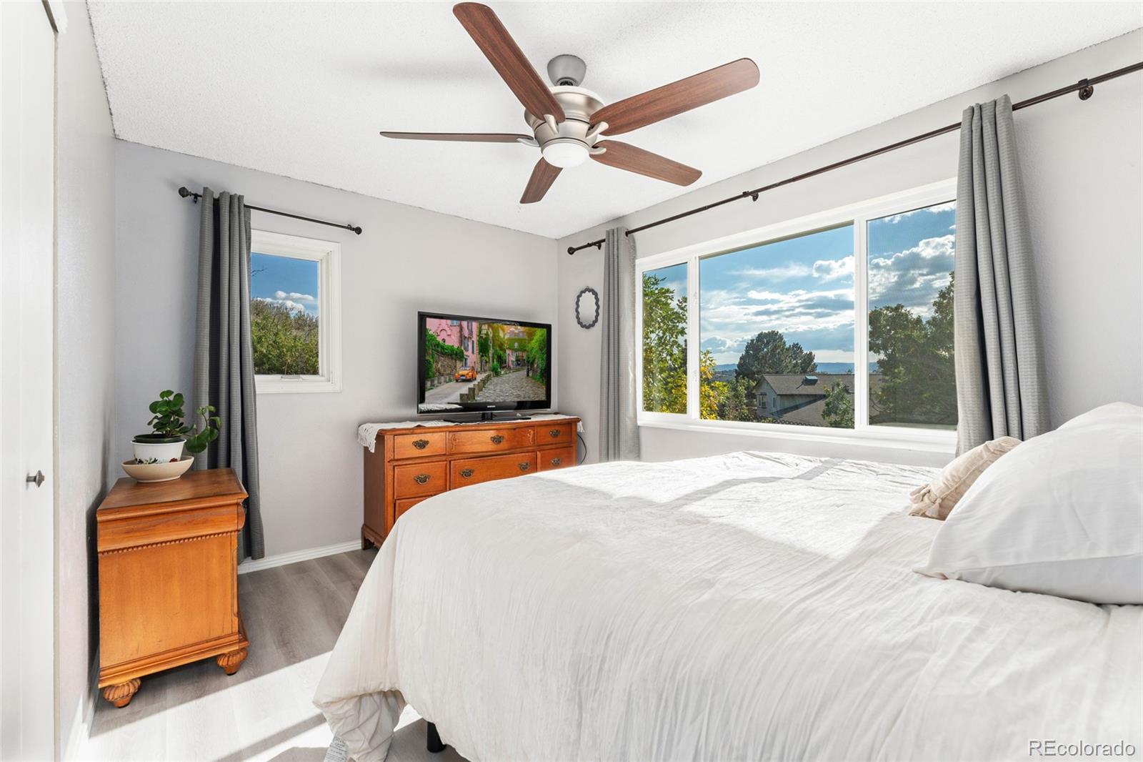 MLS Image #11 for 228  birch avenue,castle rock, Colorado