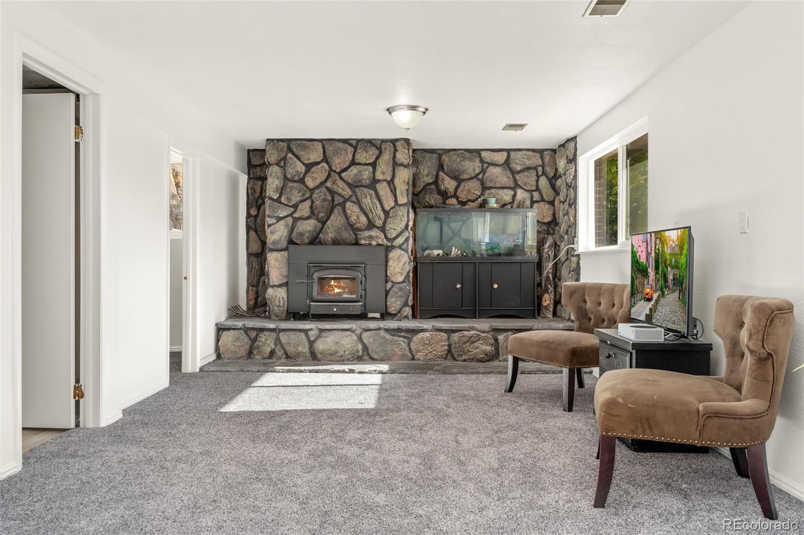 MLS Image #15 for 228  birch avenue,castle rock, Colorado