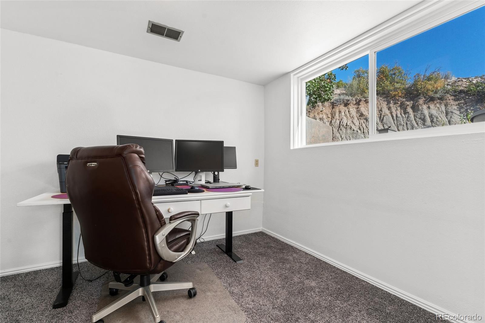 MLS Image #17 for 228  birch avenue,castle rock, Colorado