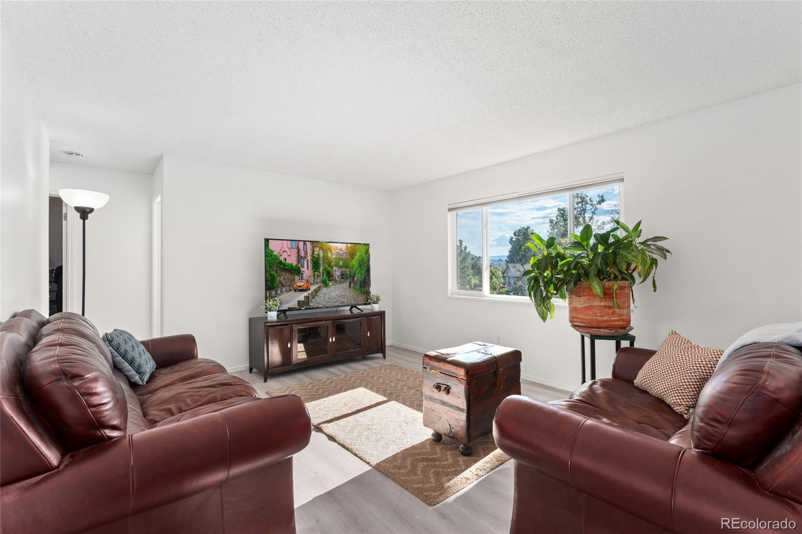 MLS Image #5 for 228  birch avenue,castle rock, Colorado