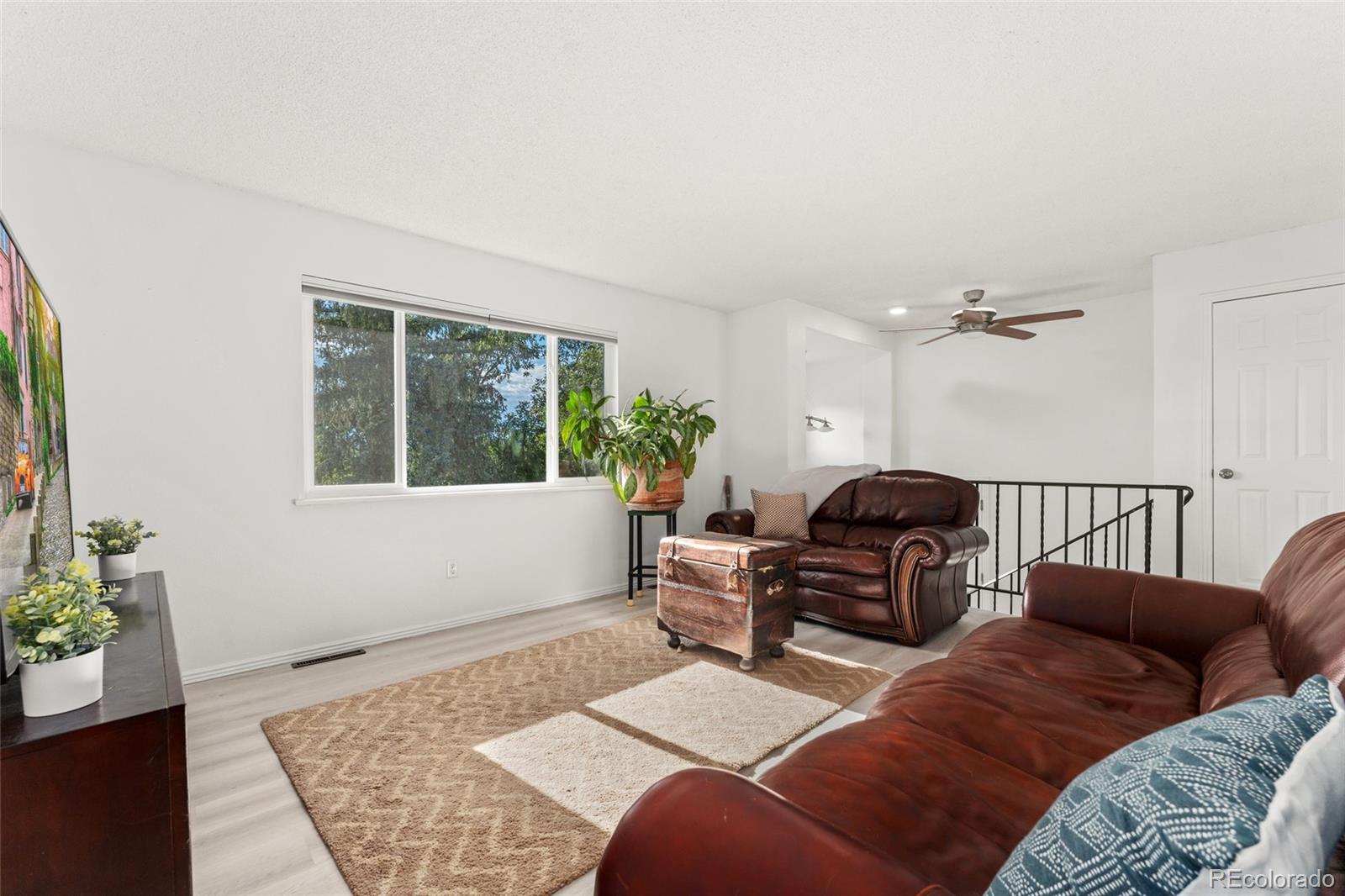 MLS Image #6 for 228  birch avenue,castle rock, Colorado