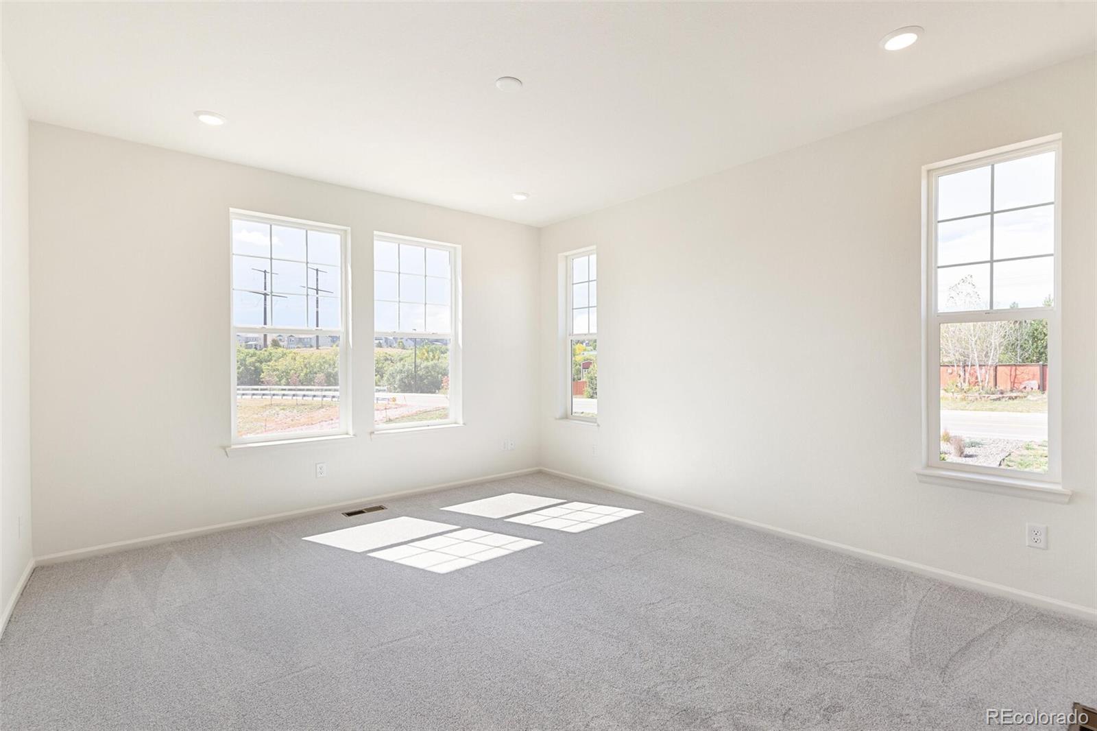 MLS Image #17 for 4308  soapberry place,castle rock, Colorado