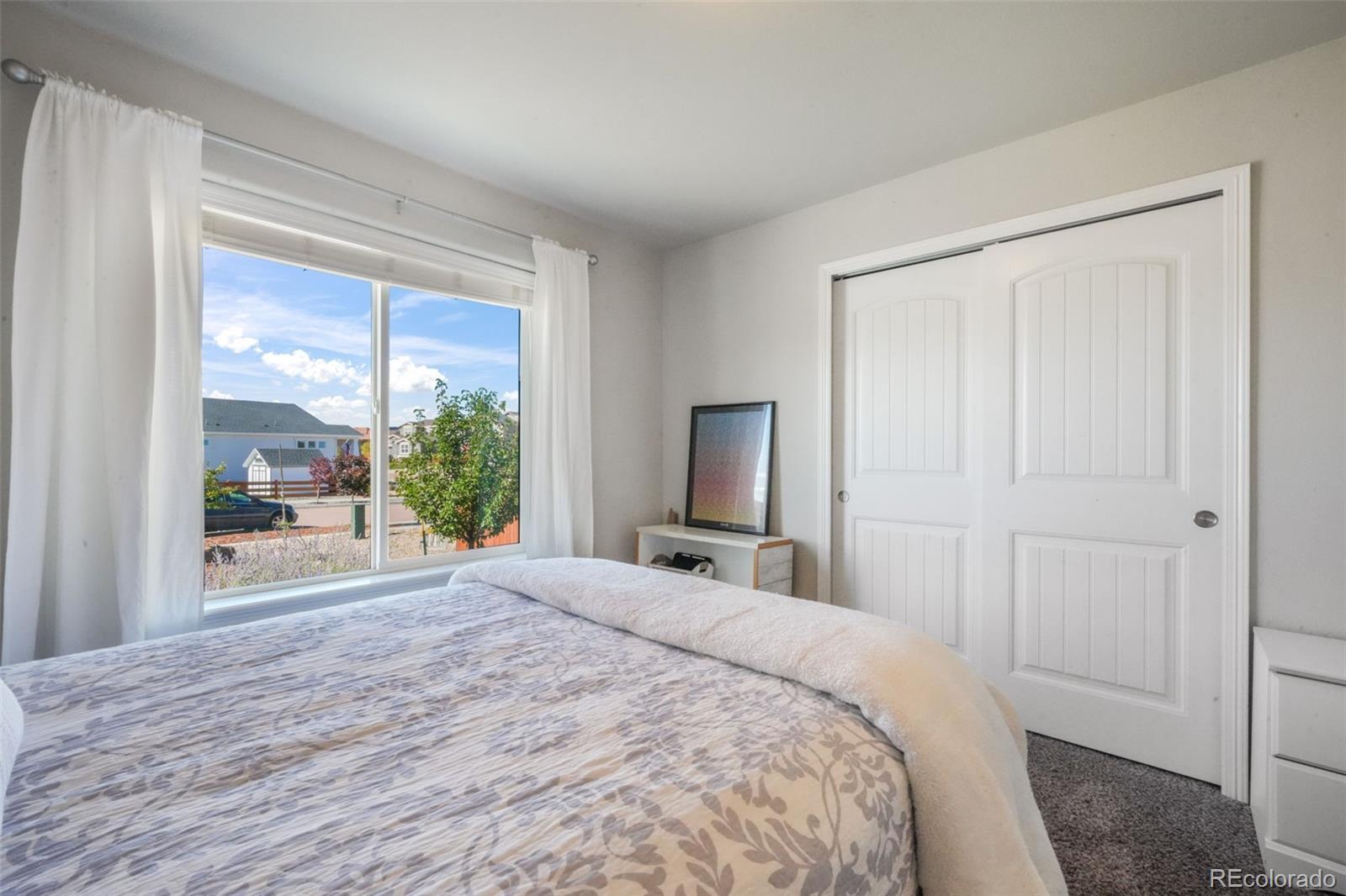 MLS Image #21 for 10965  long summer court,peyton, Colorado