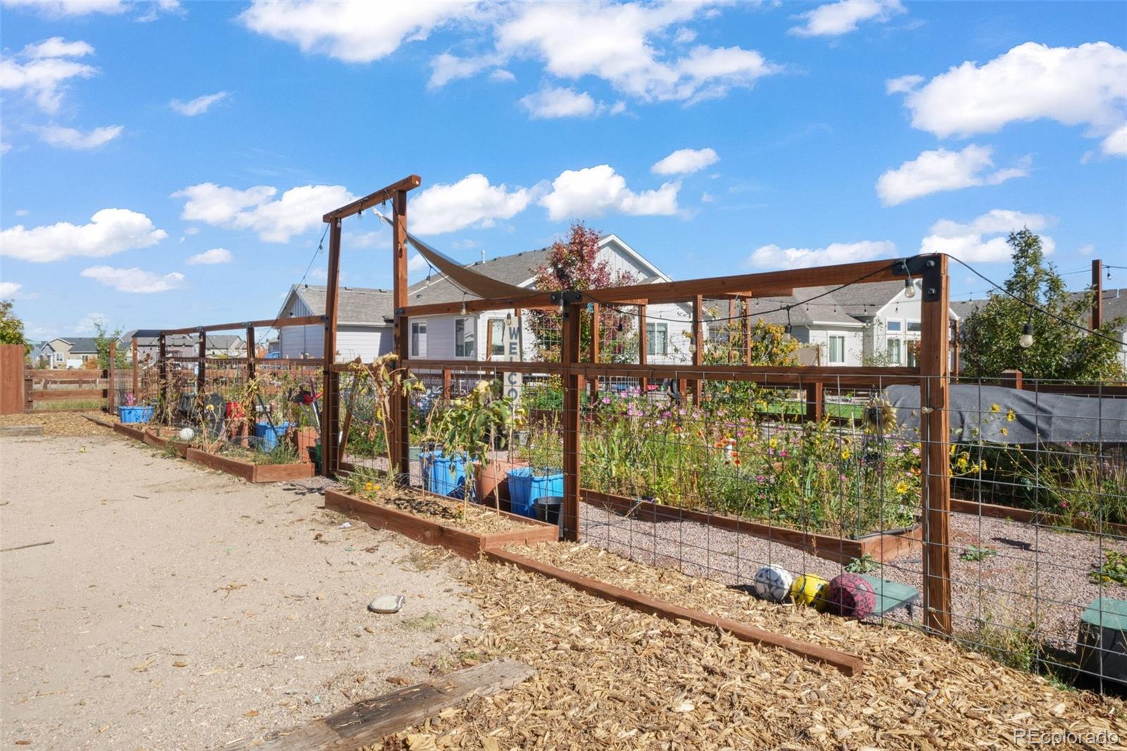 MLS Image #48 for 10965  long summer court,peyton, Colorado