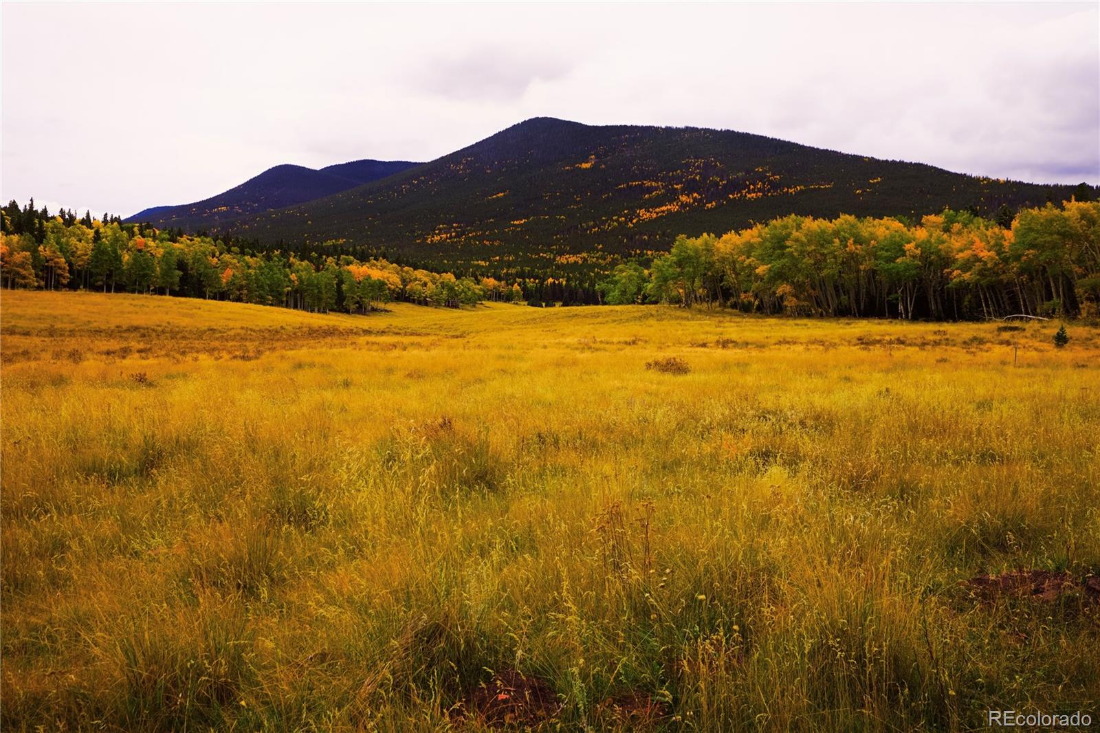 MLS Image #1 for 2469  petito drive,fort garland, Colorado