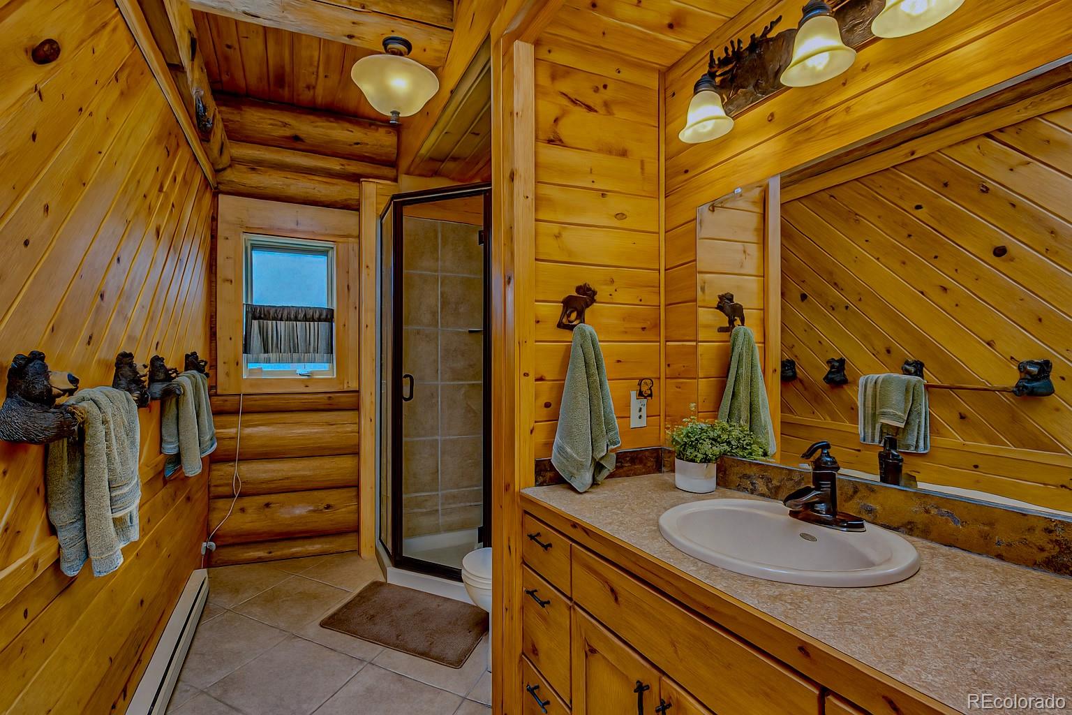 MLS Image #10 for 2469  petito drive,fort garland, Colorado