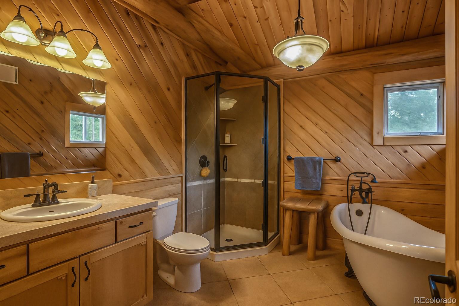 MLS Image #11 for 2469  petito drive,fort garland, Colorado