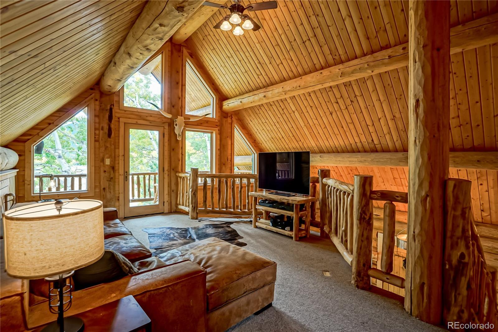MLS Image #21 for 2469  petito drive,fort garland, Colorado