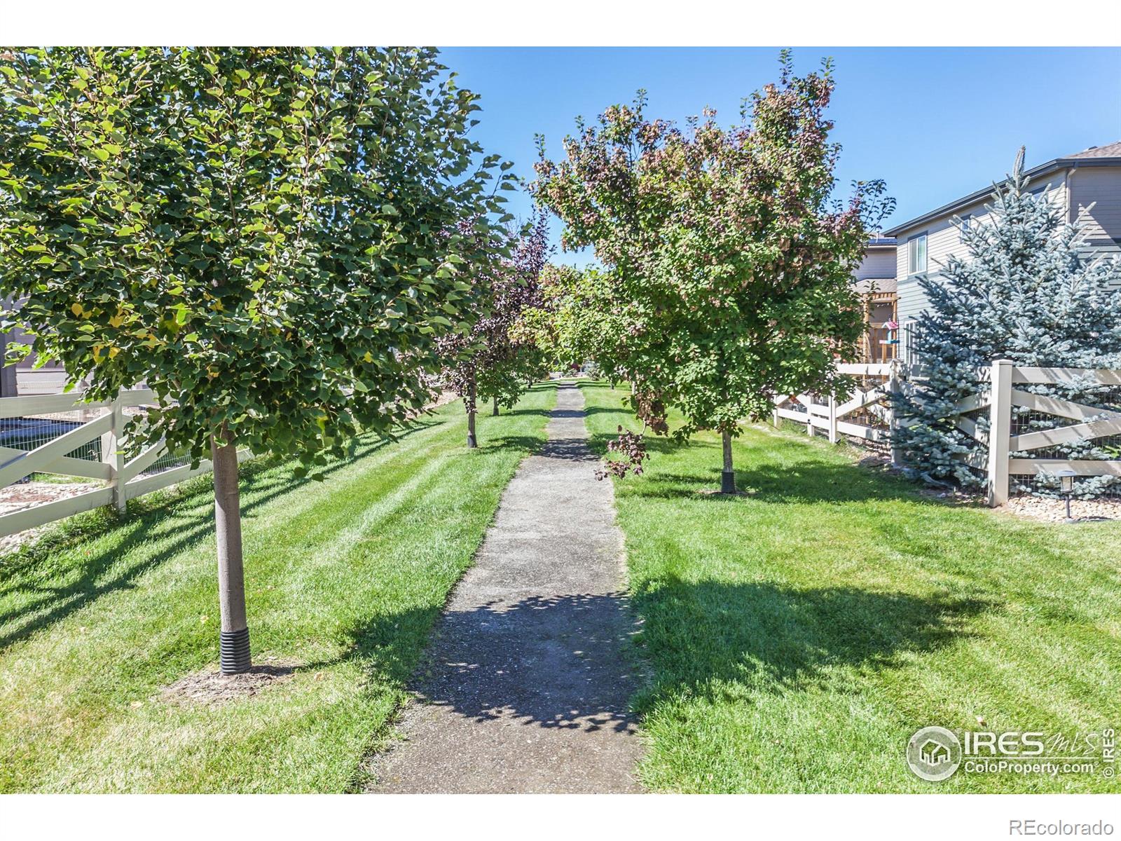 MLS Image #42 for 2127  lager street,fort collins, Colorado