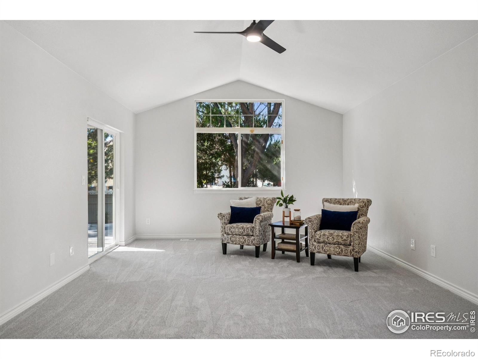 MLS Image #20 for 1148  chestnut drive,longmont, Colorado