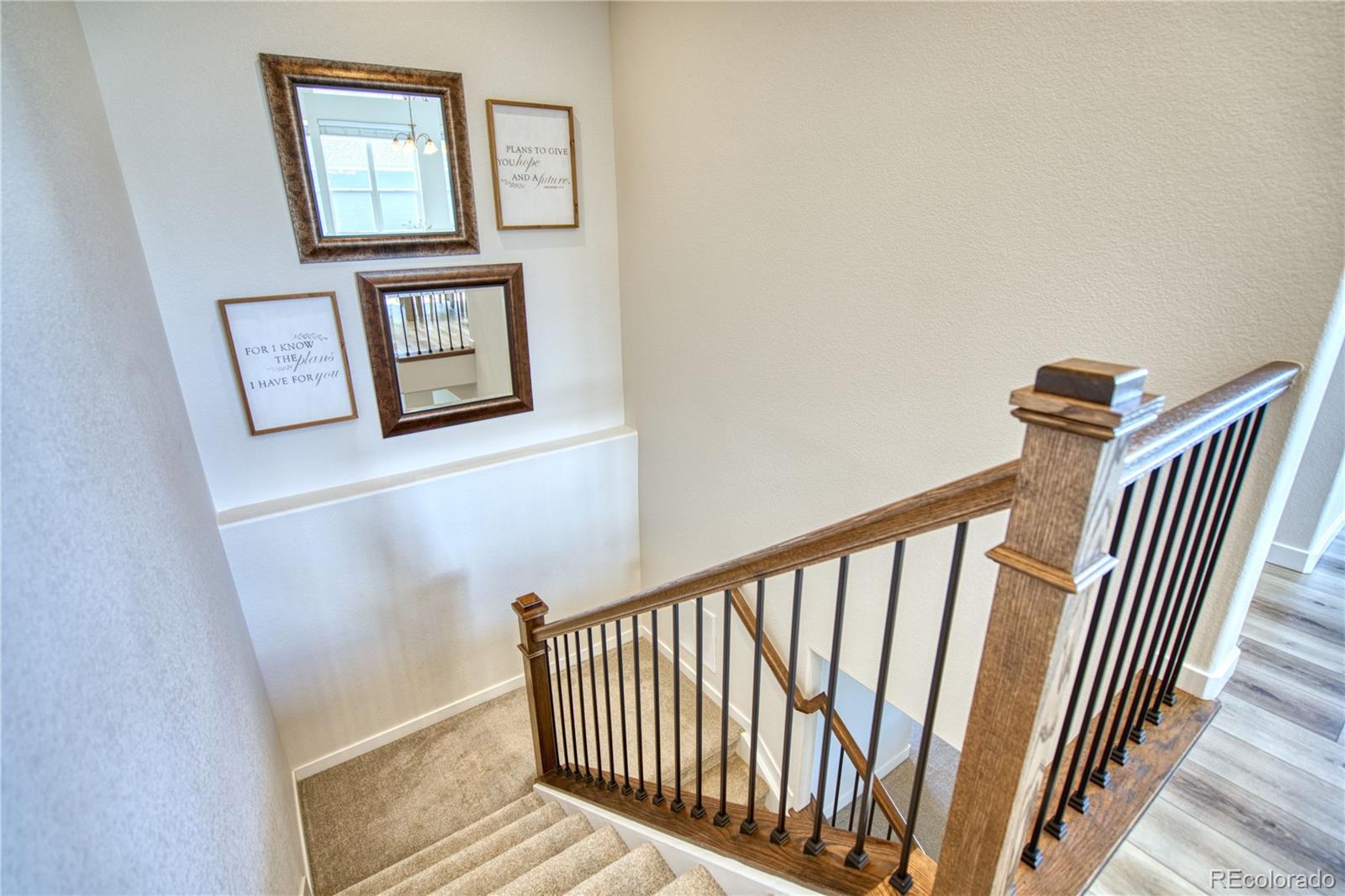 MLS Image #17 for 848  lowrey lane,berthoud, Colorado