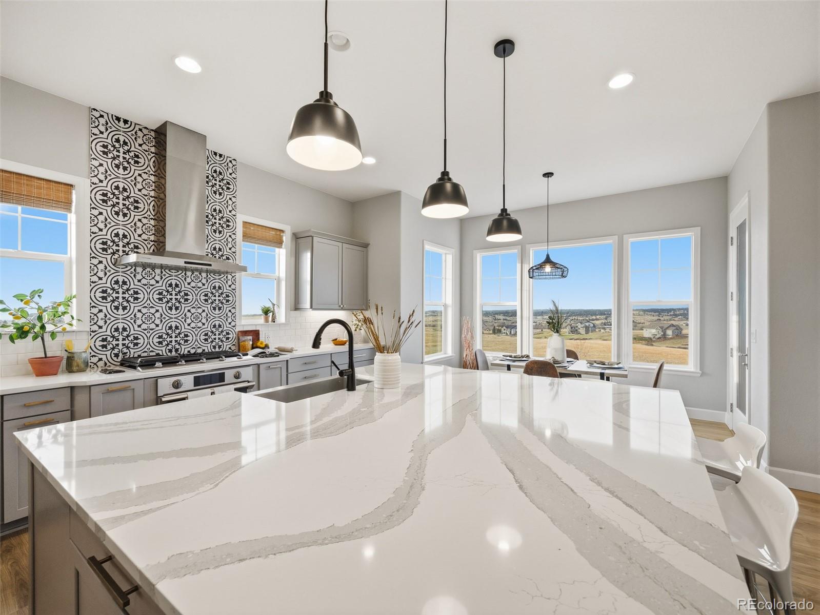 MLS Image #15 for 9141  red primrose street,franktown, Colorado