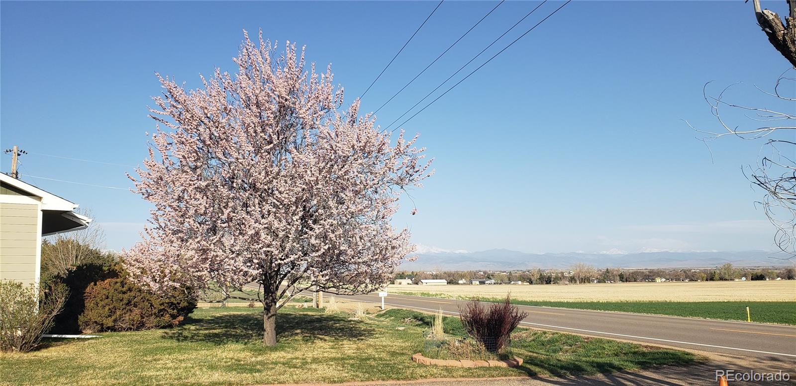 MLS Image #30 for 2344  county road 12 ,erie, Colorado