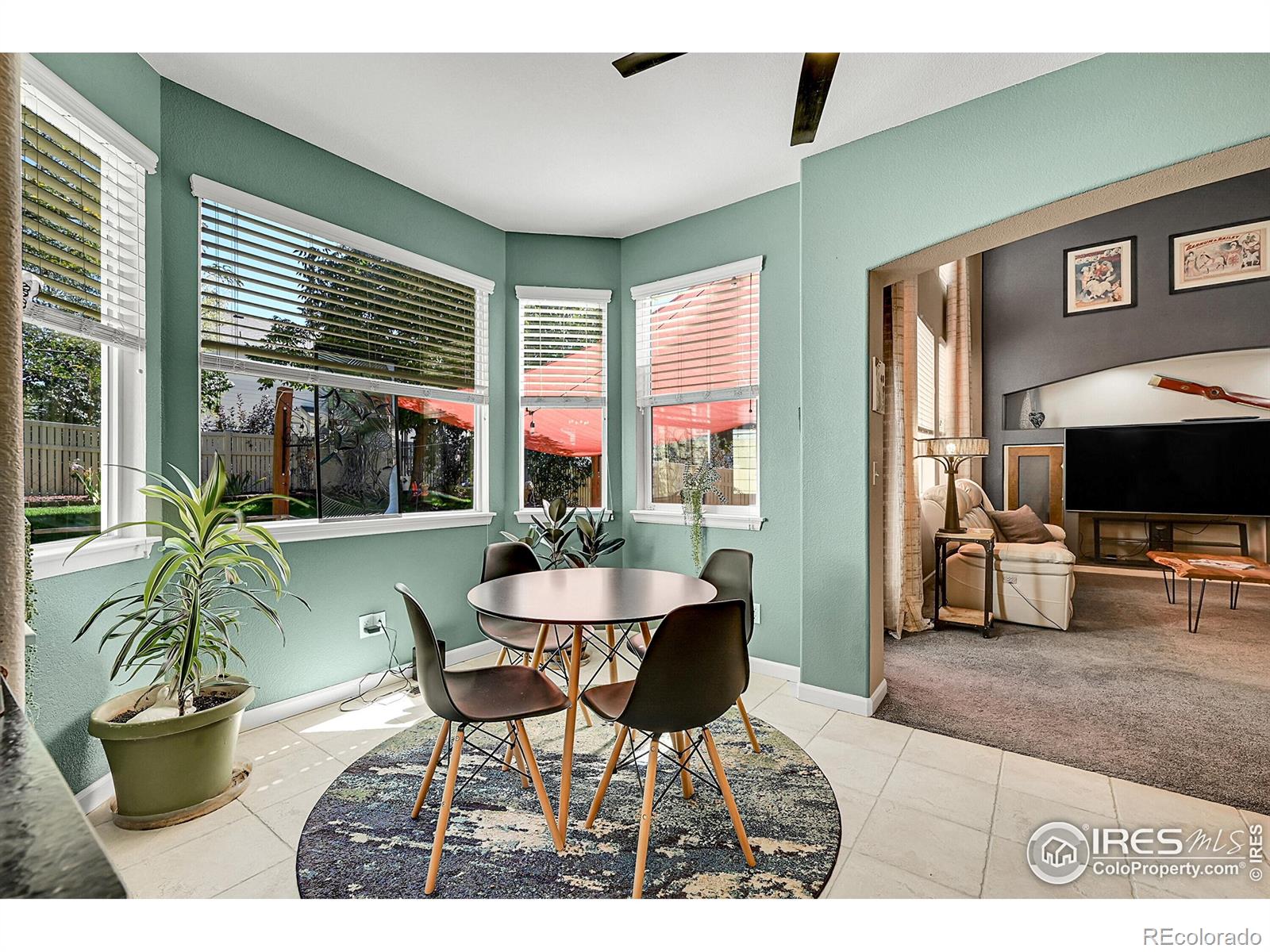 MLS Image #8 for 10278  dover street,firestone, Colorado