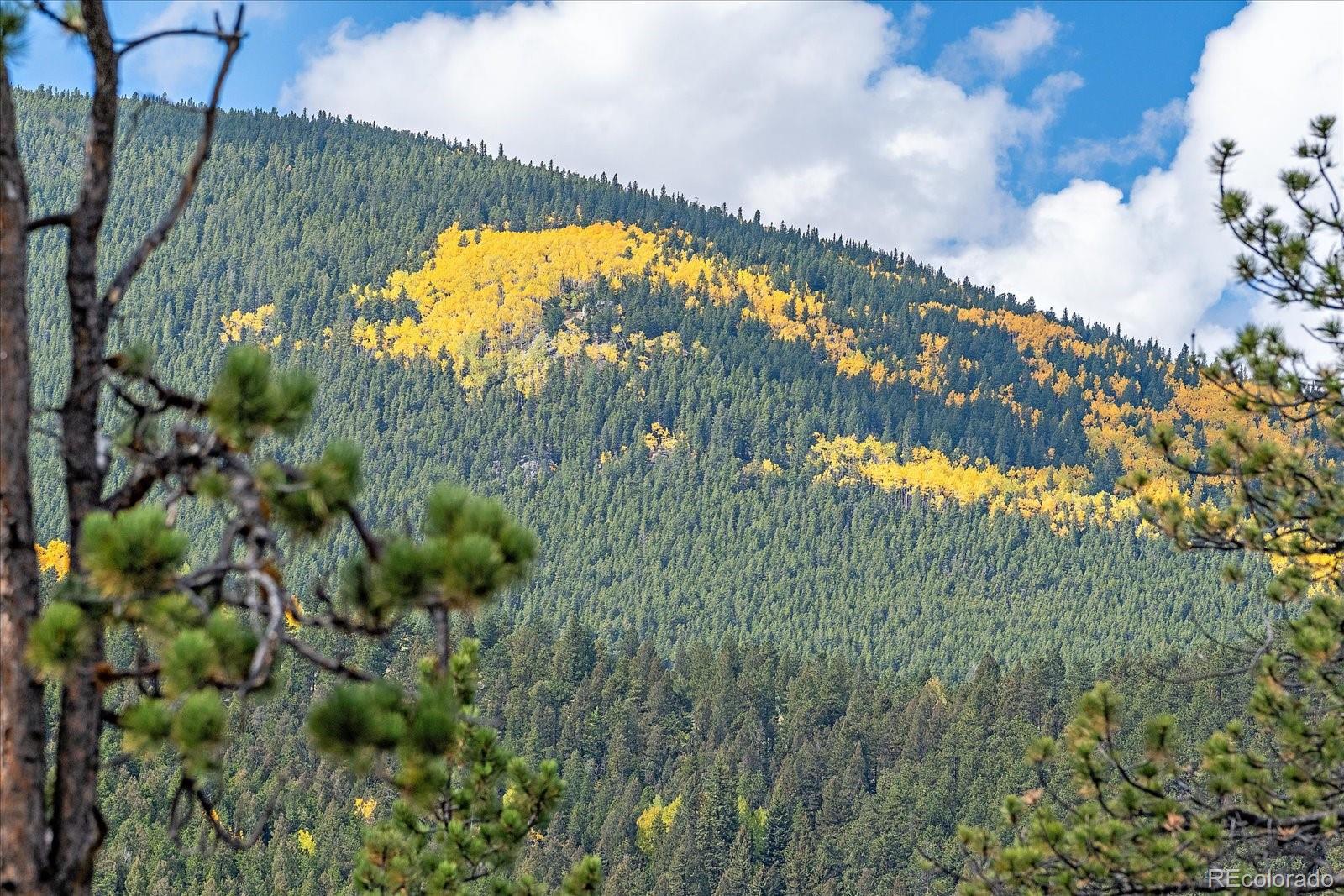 MLS Image #10 for 4346  county road 43 ,bailey, Colorado