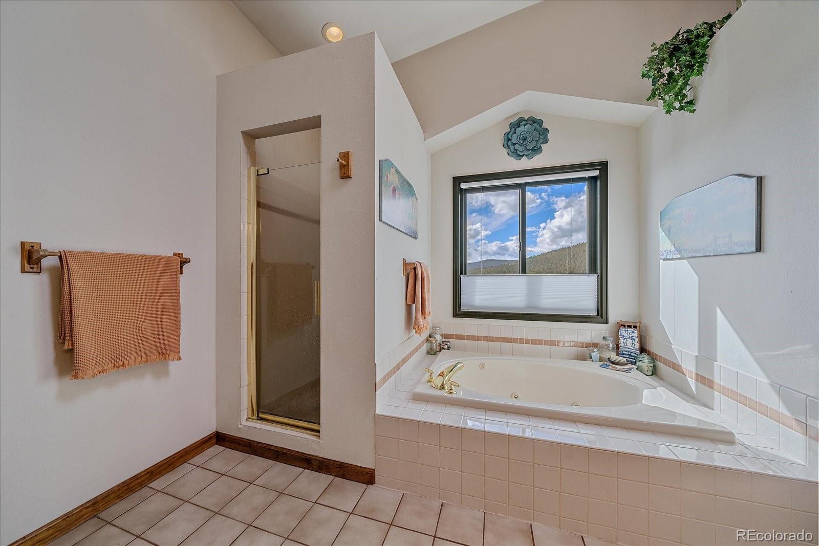 MLS Image #33 for 4346  county road 43 ,bailey, Colorado