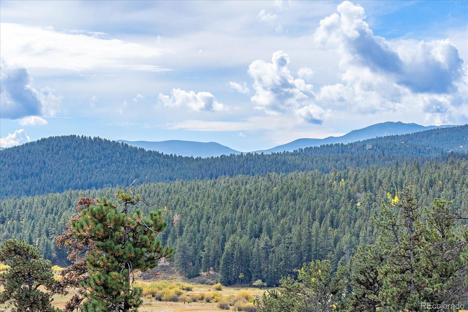 MLS Image #40 for 4346  county road 43 ,bailey, Colorado