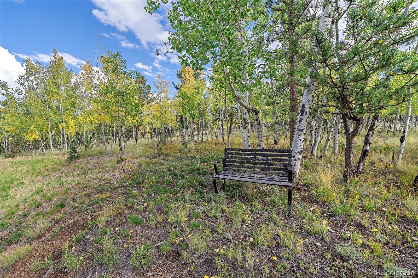 MLS Image #41 for 4346  county road 43 ,bailey, Colorado