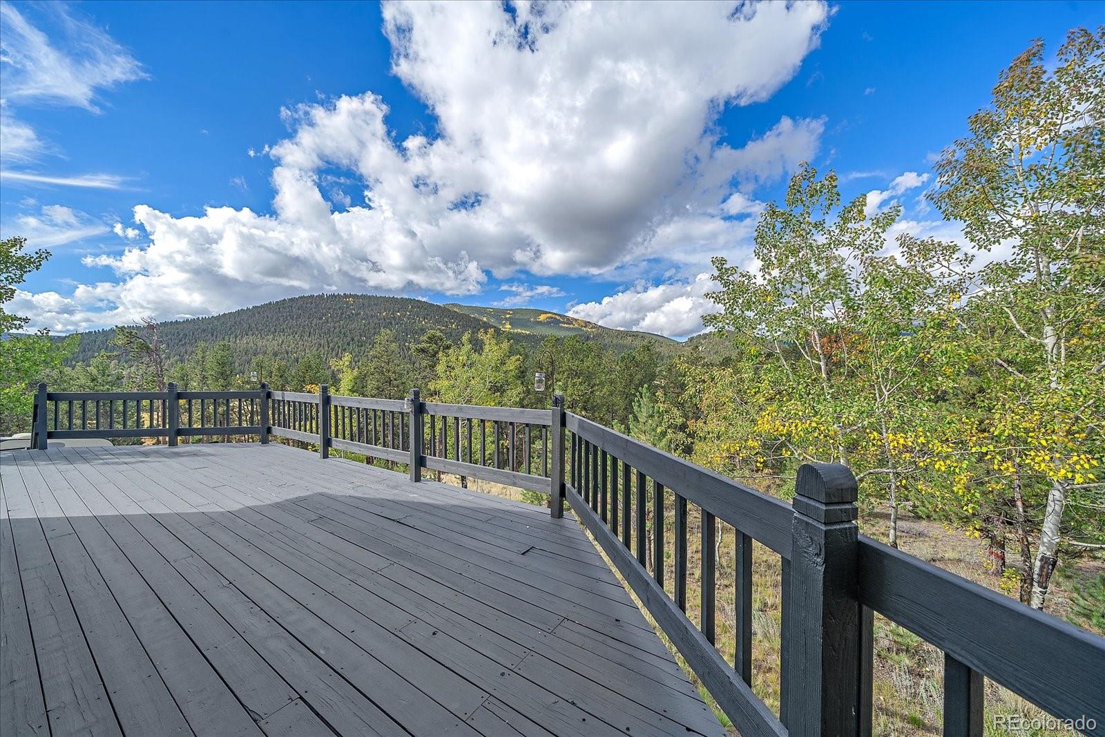 MLS Image #7 for 4346  county road 43 ,bailey, Colorado