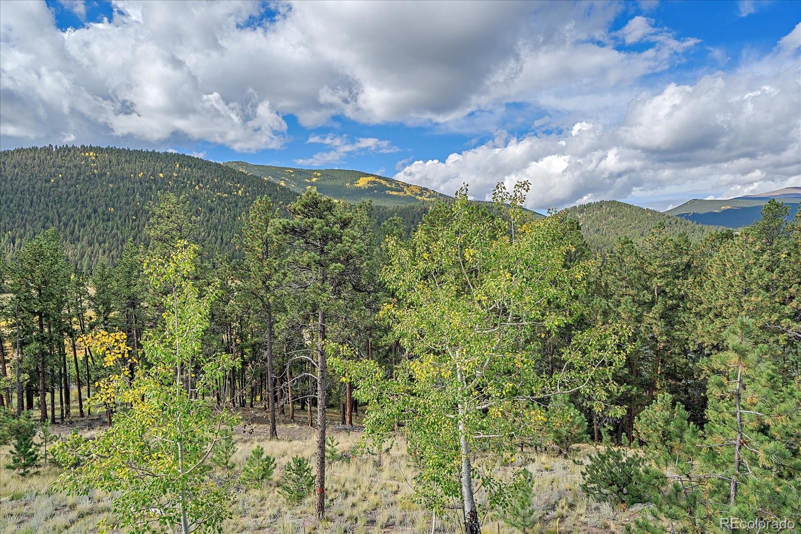 MLS Image #9 for 4346  county road 43 ,bailey, Colorado