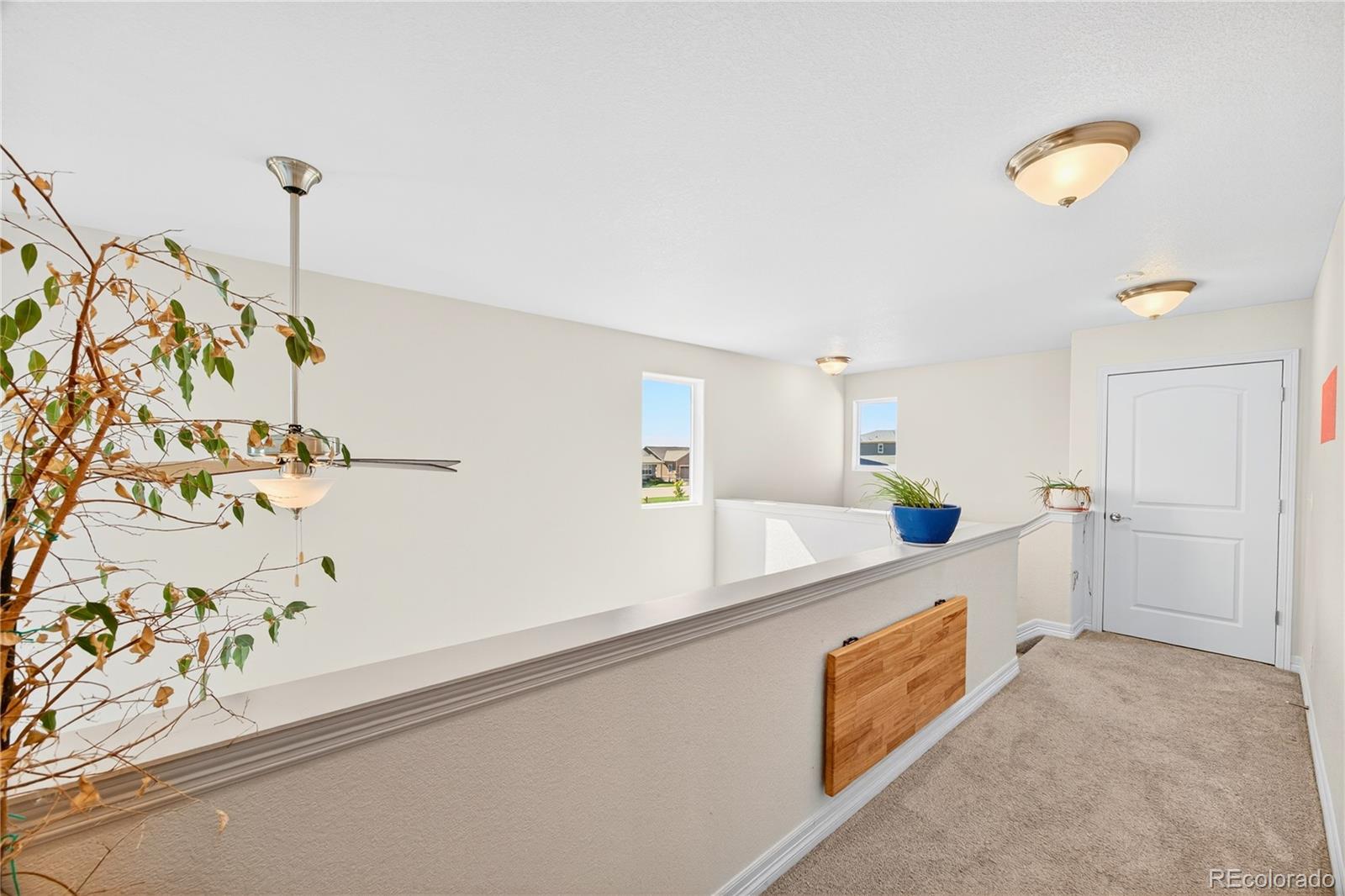 MLS Image #19 for 2274  adams lane,strasburg, Colorado