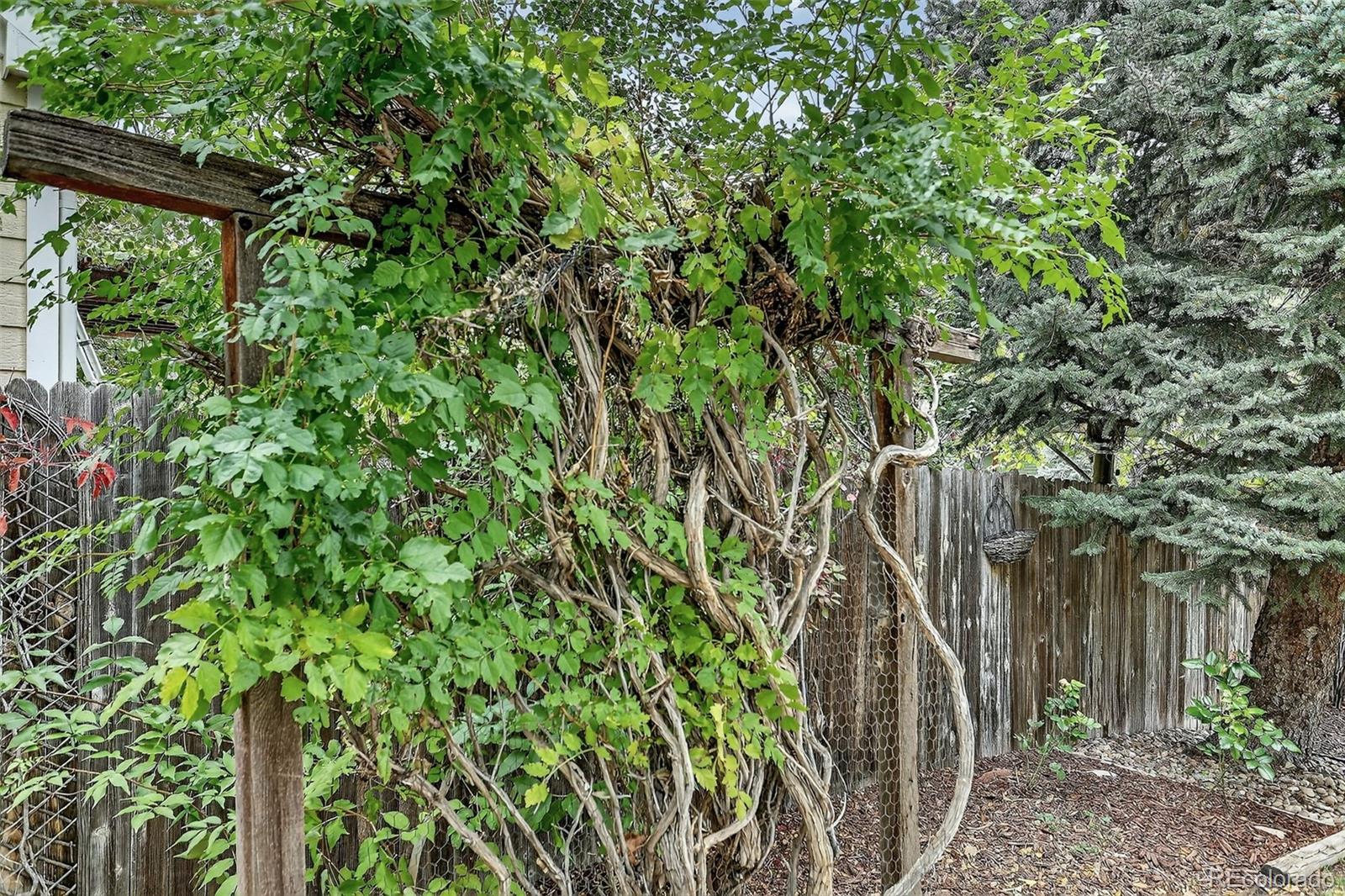 MLS Image #27 for 408  fillmore court,louisville, Colorado