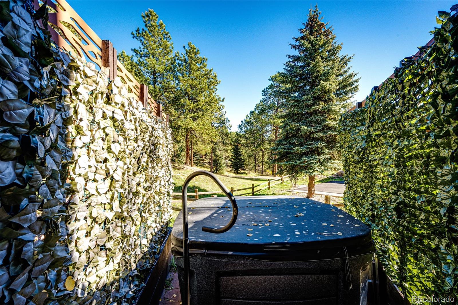 MLS Image #34 for 29862  troutdale park place,evergreen, Colorado